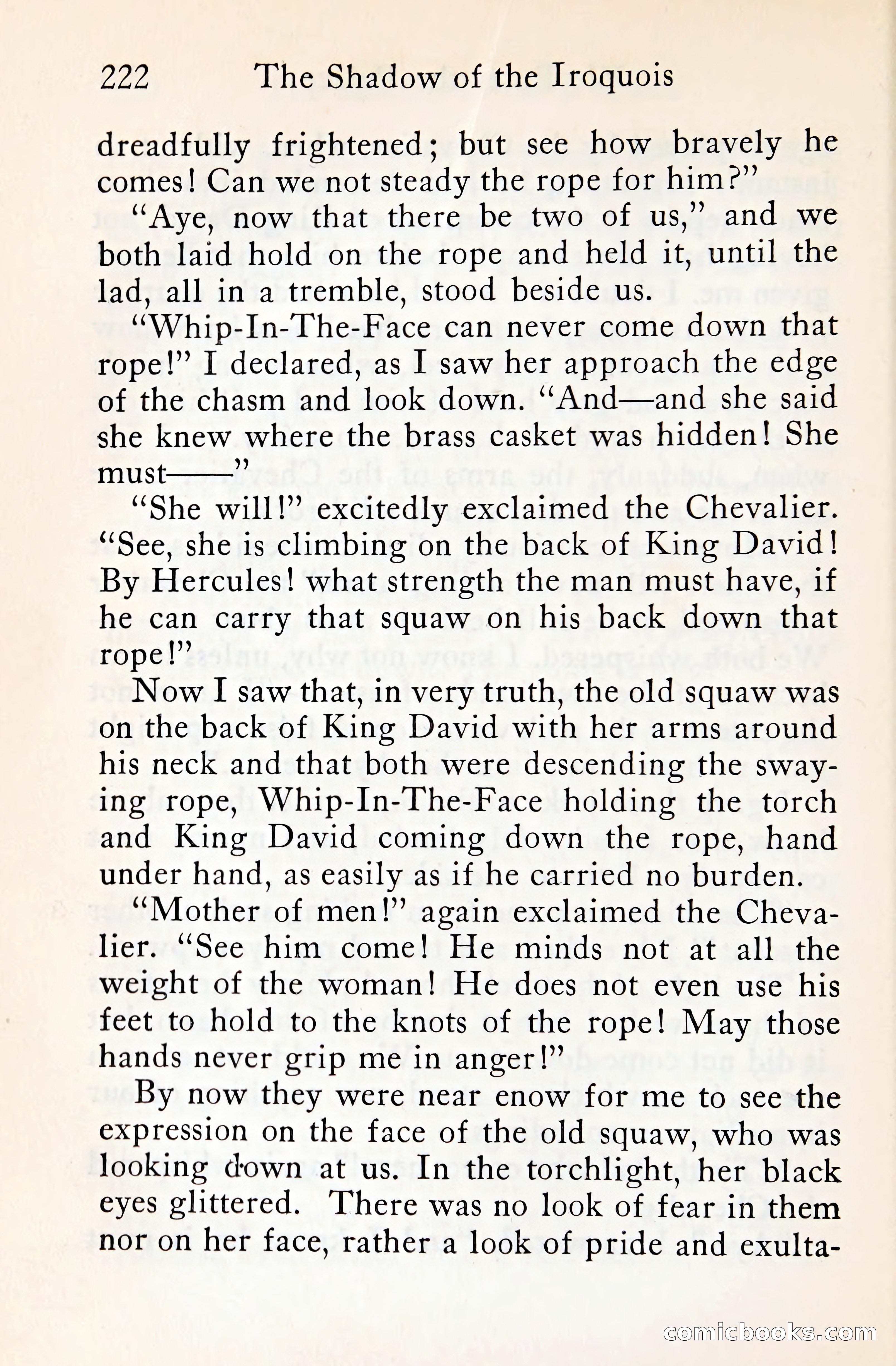 The Shadow of the Iroquois — page 243 of 399