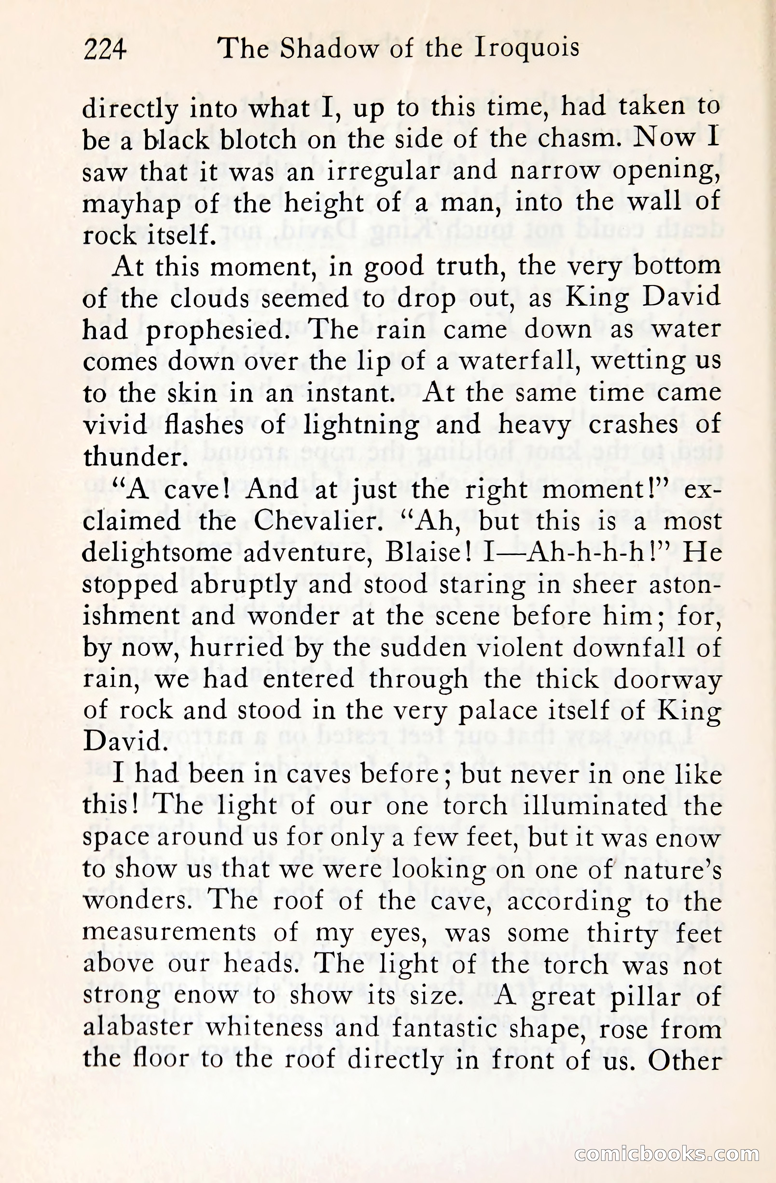 The Shadow of the Iroquois — page 245 of 399