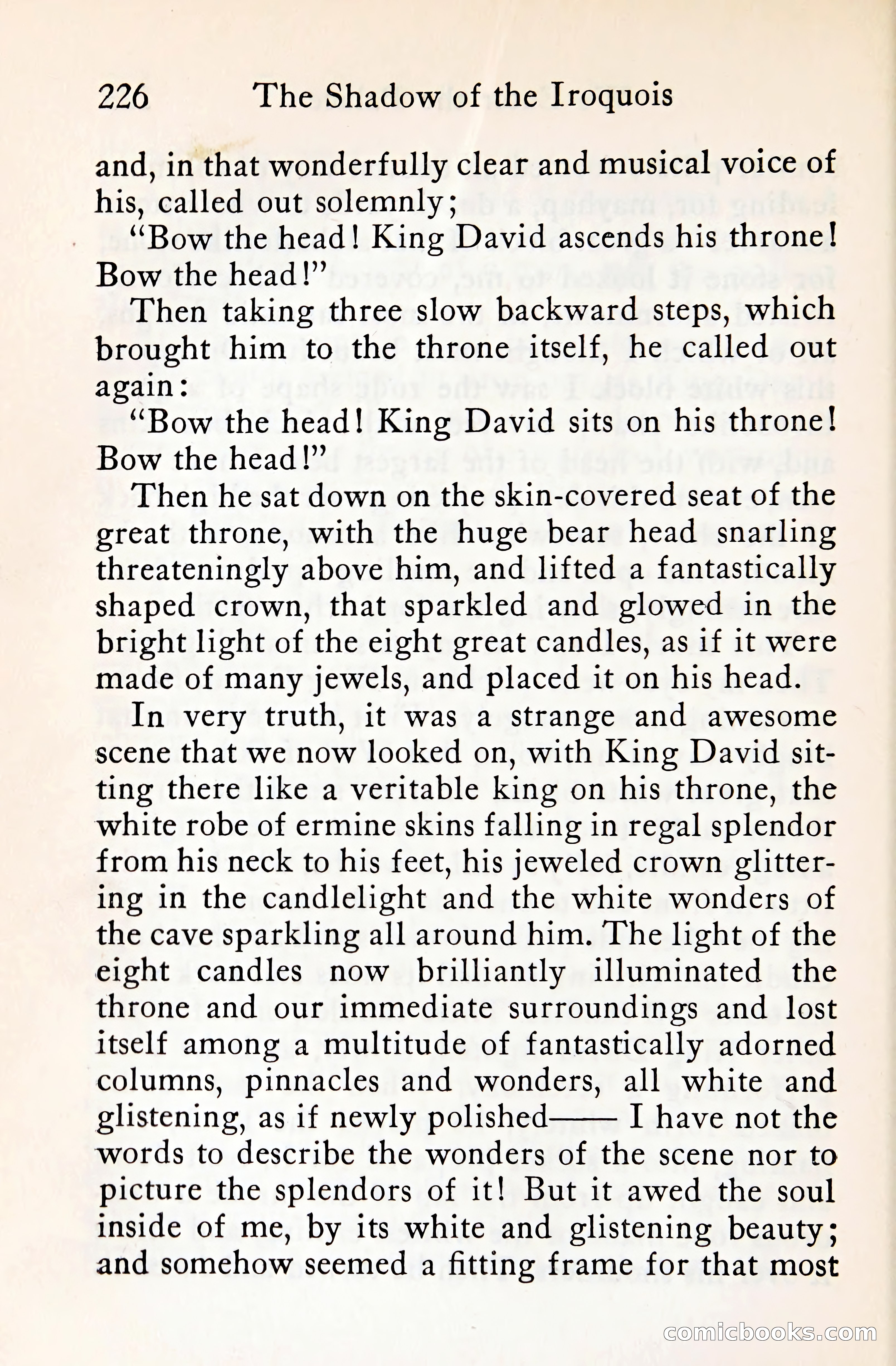 The Shadow of the Iroquois — page 247 of 399