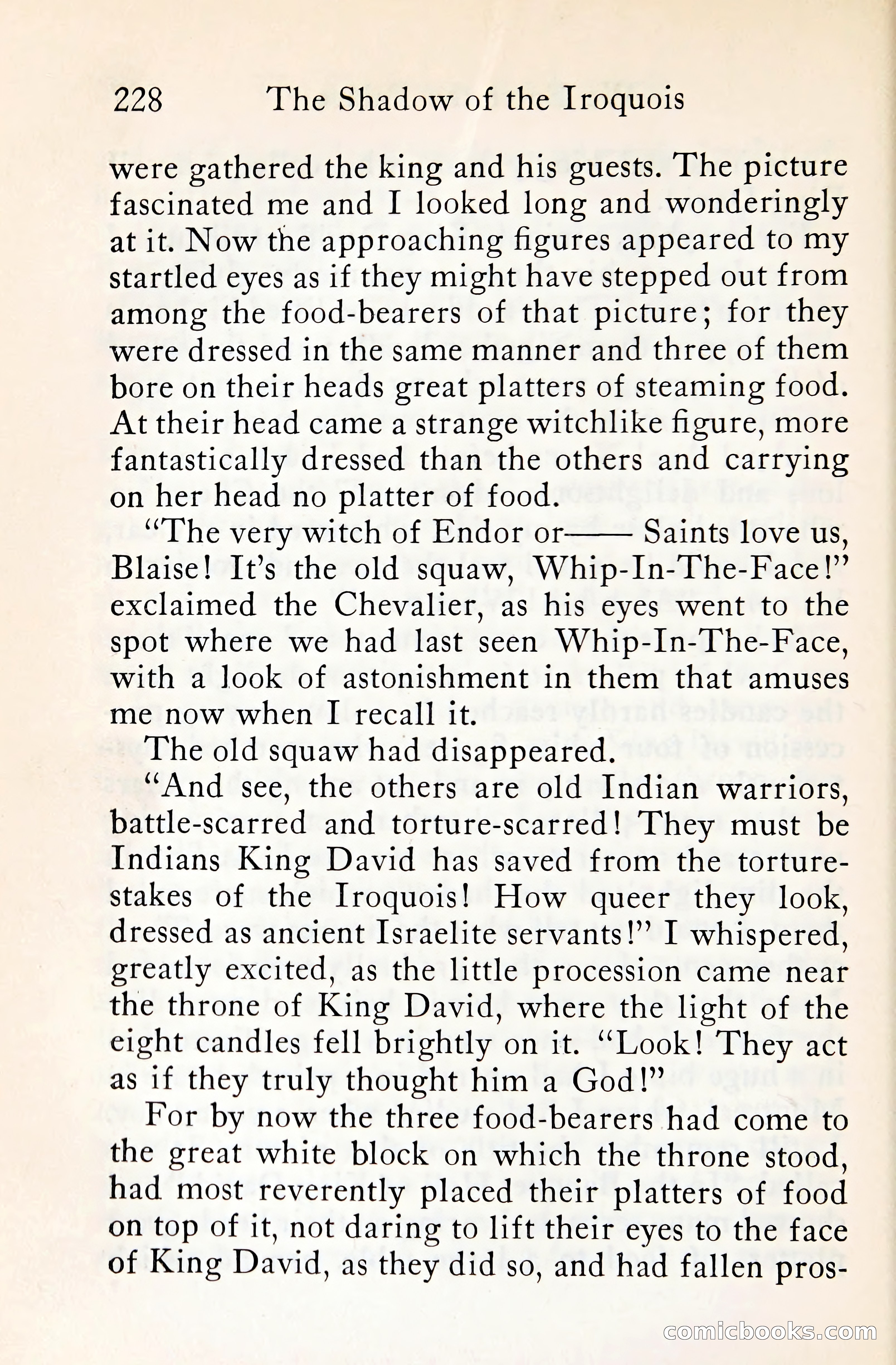 The Shadow of the Iroquois — page 249 of 399
