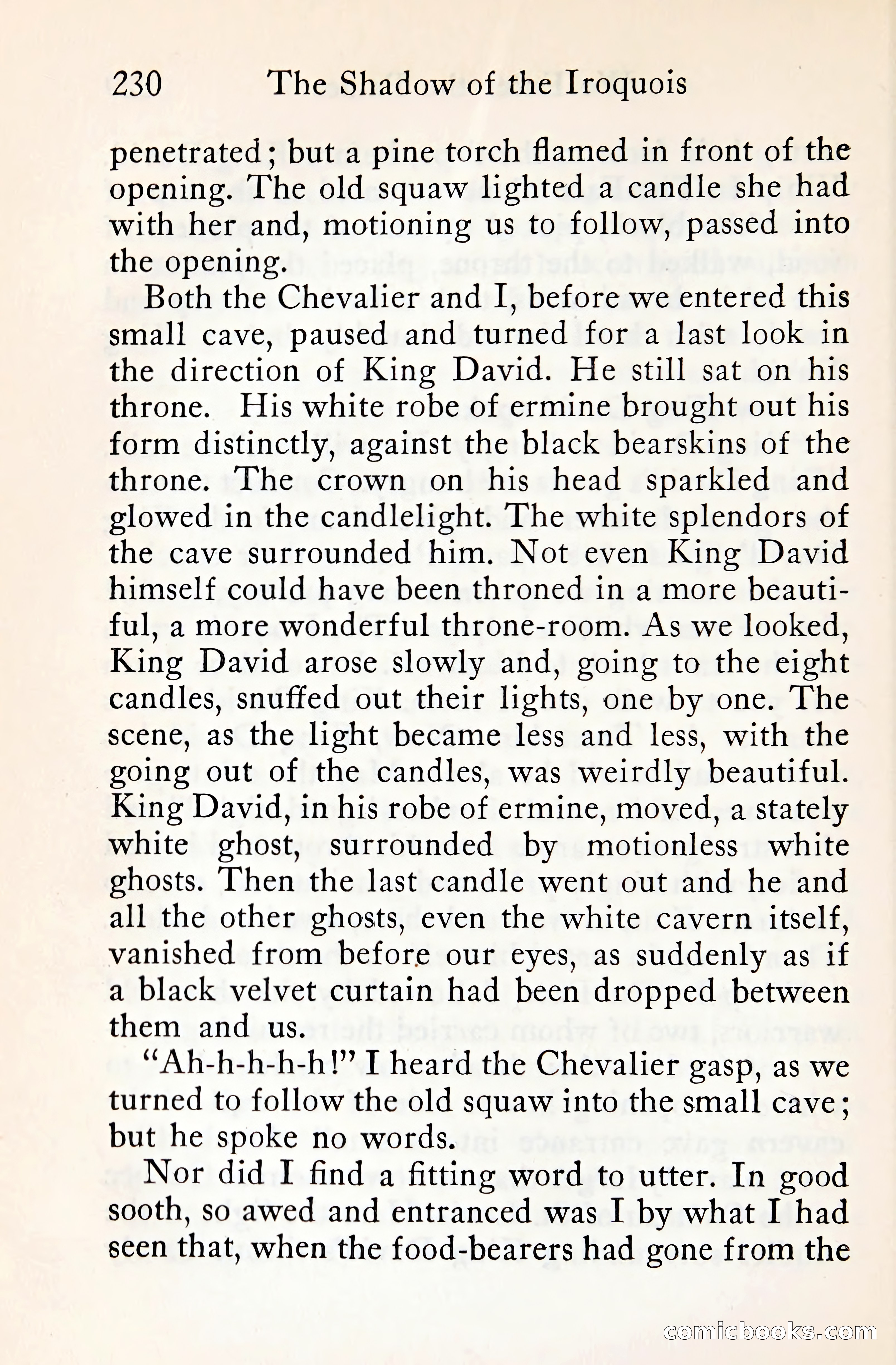 The Shadow of the Iroquois — page 251 of 399