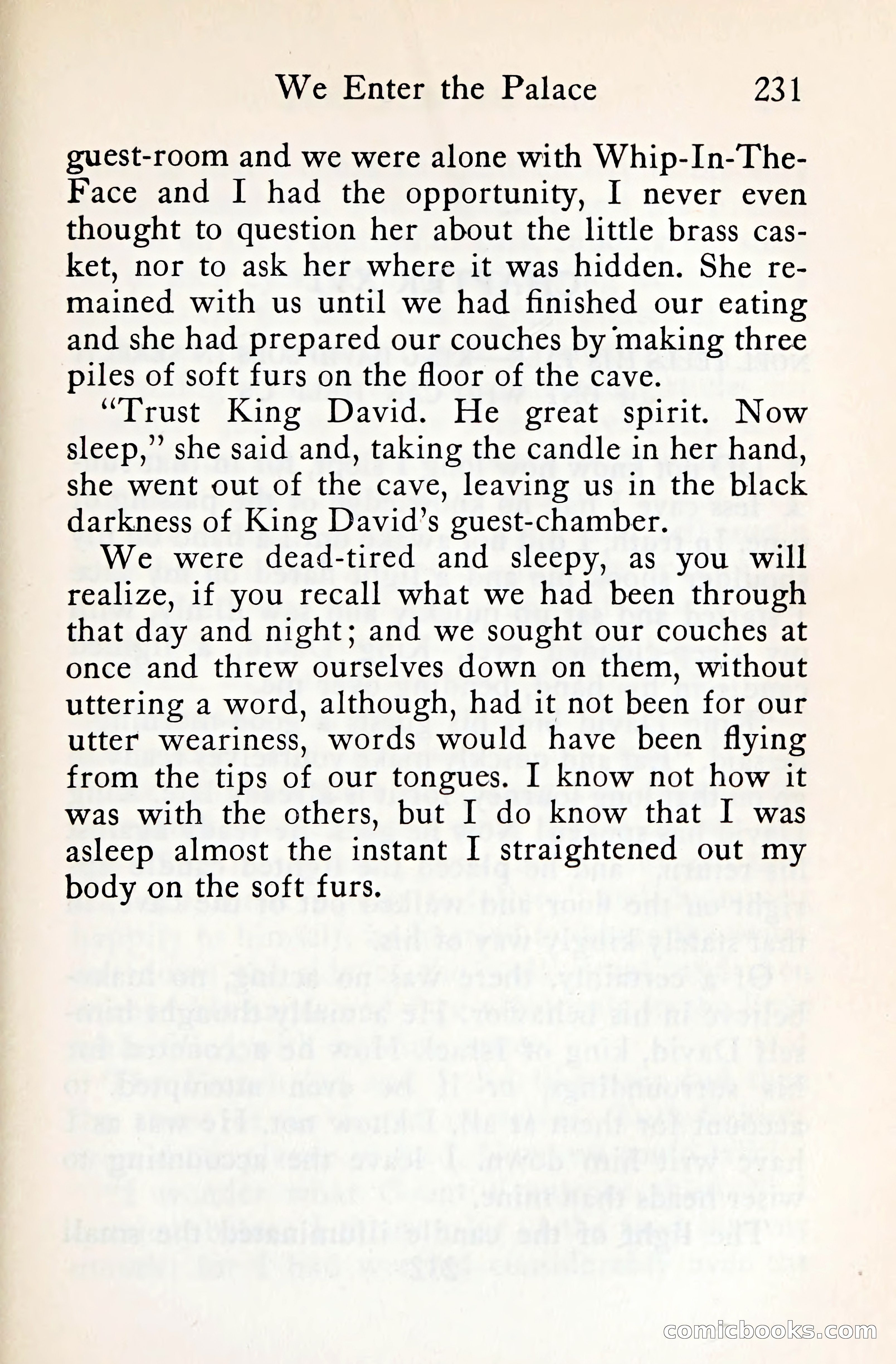 The Shadow of the Iroquois — page 252 of 399