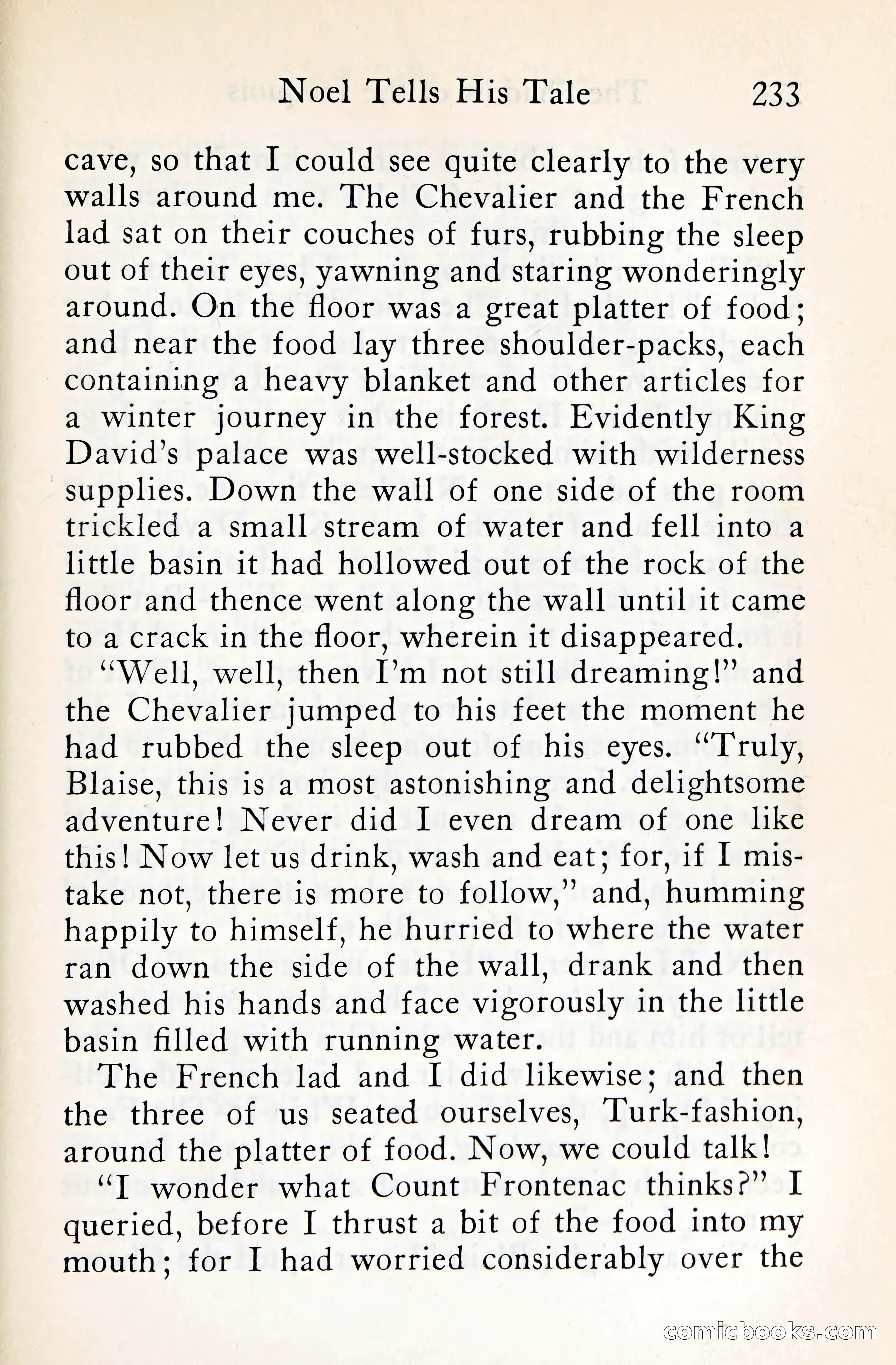 The Shadow of the Iroquois — page 254 of 399