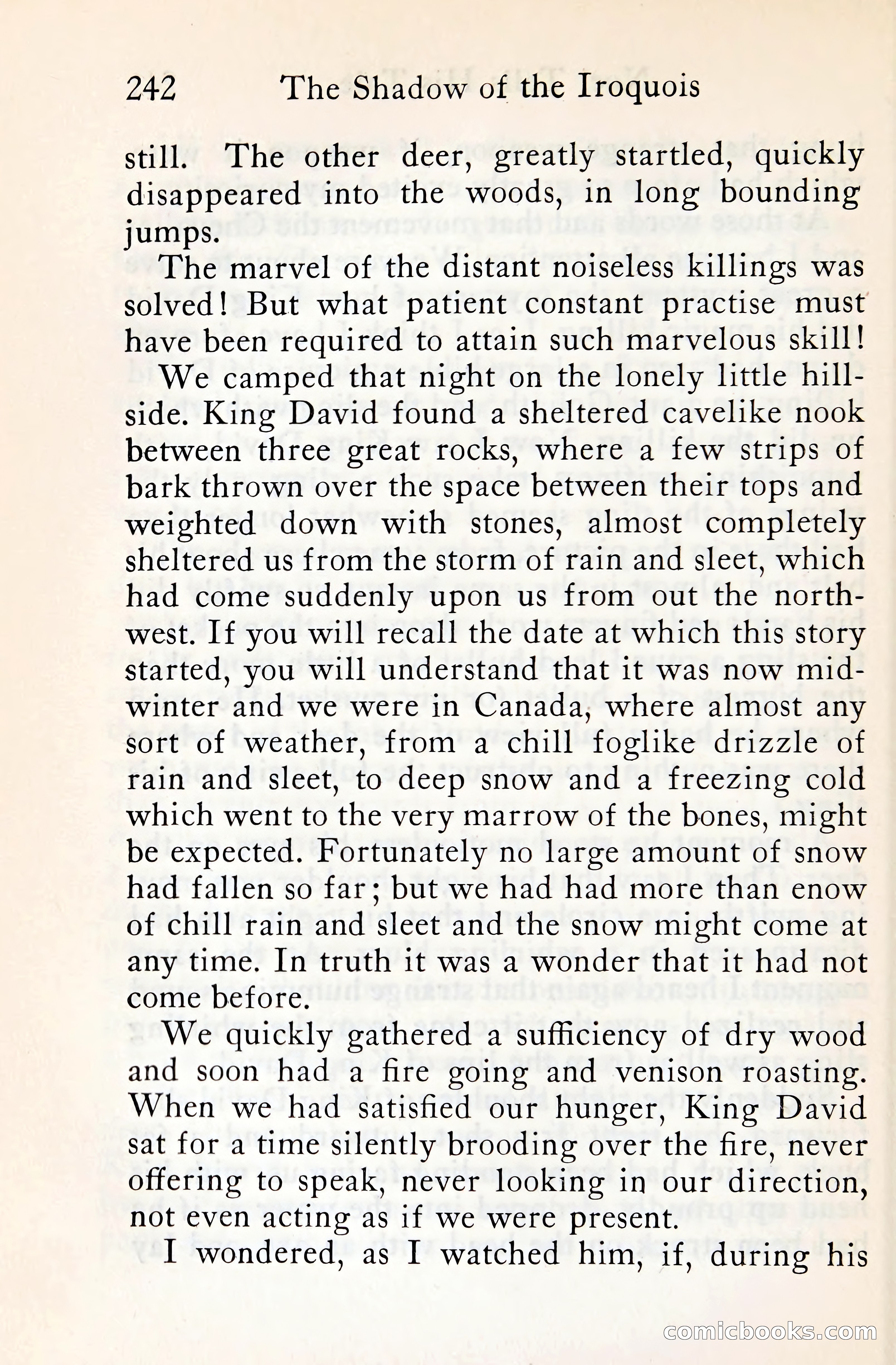 The Shadow of the Iroquois — page 263 of 399
