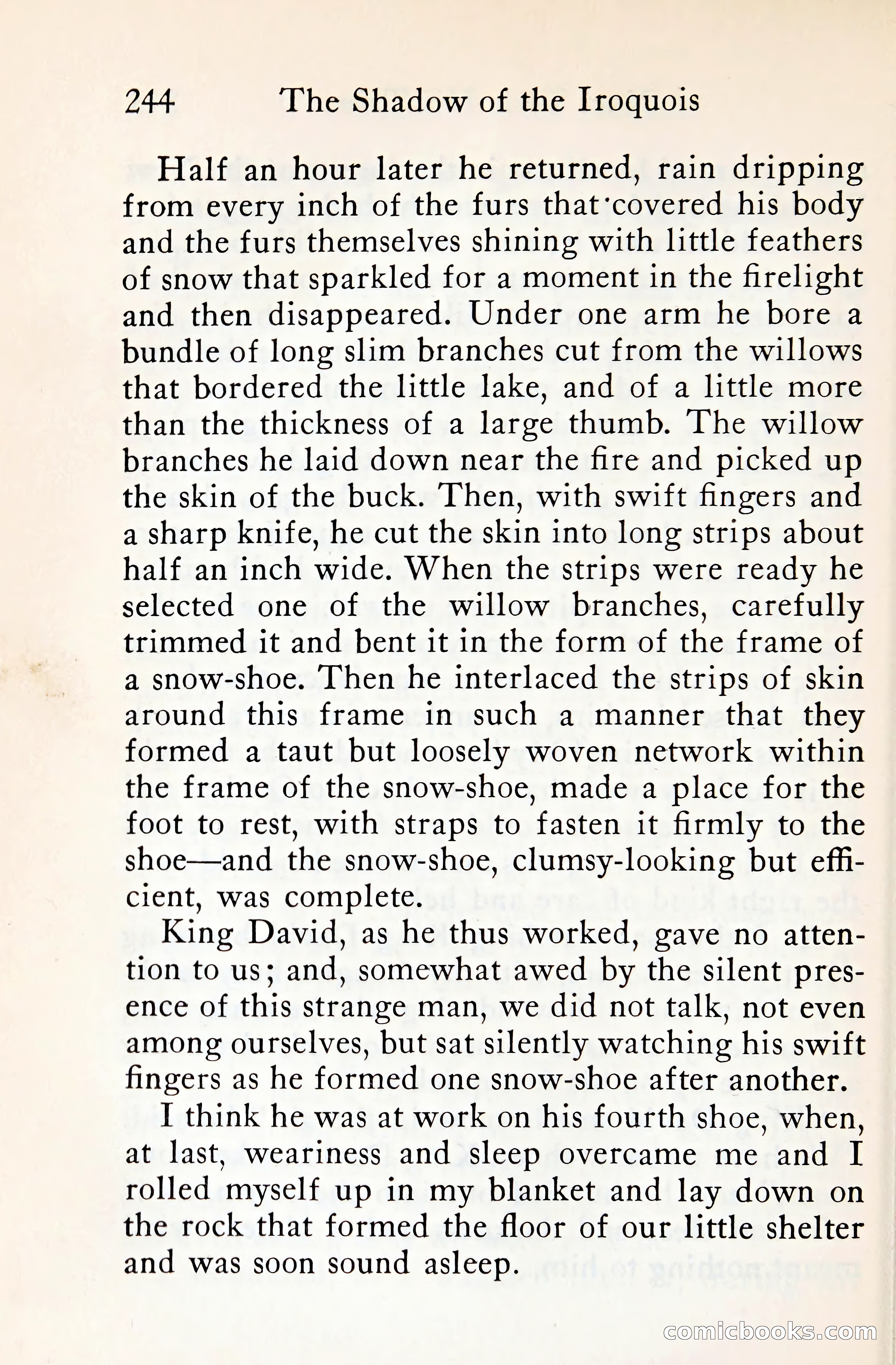 The Shadow of the Iroquois — page 265 of 399