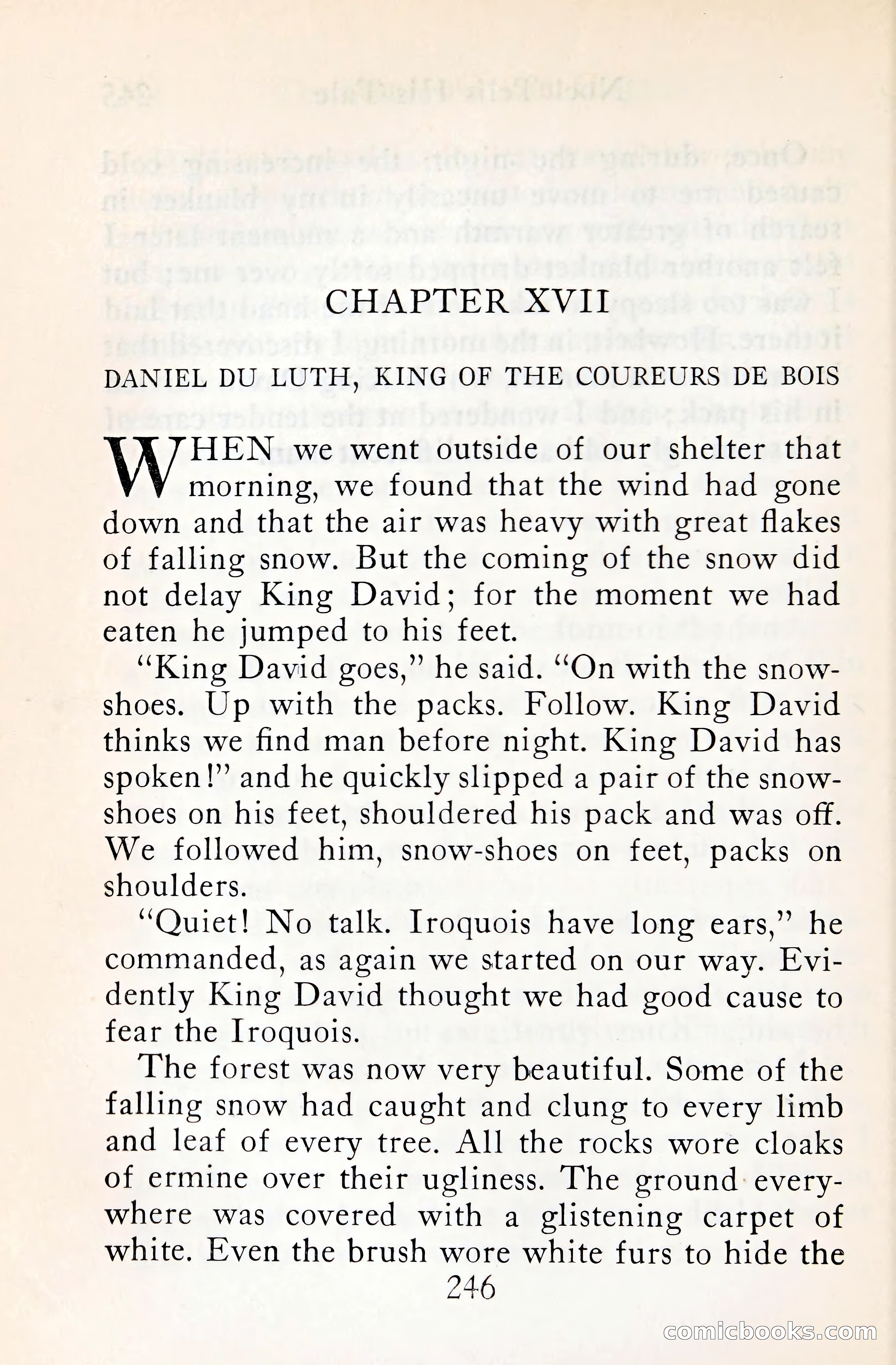 The Shadow of the Iroquois — page 267 of 399