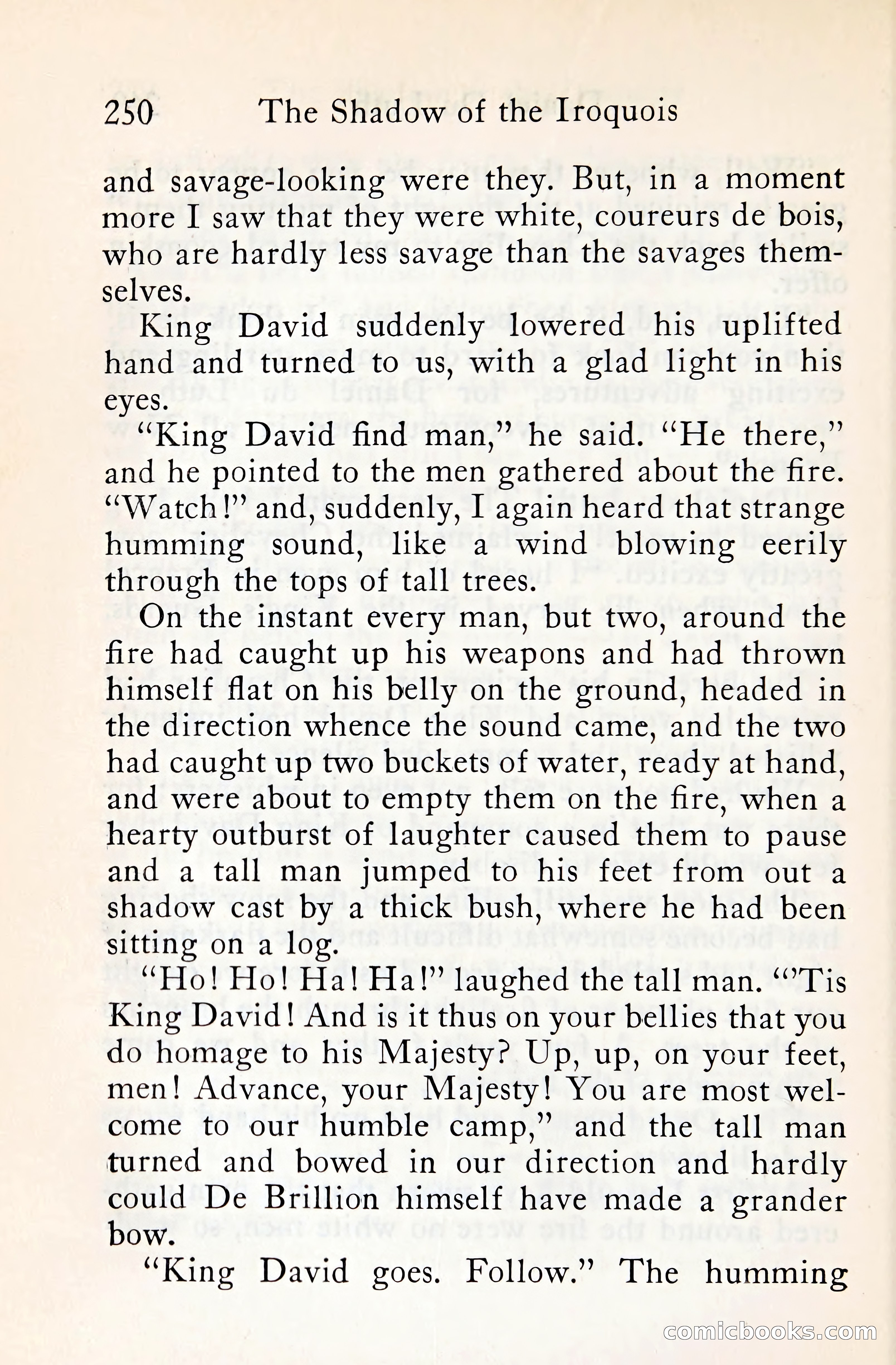 The Shadow of the Iroquois — page 271 of 399