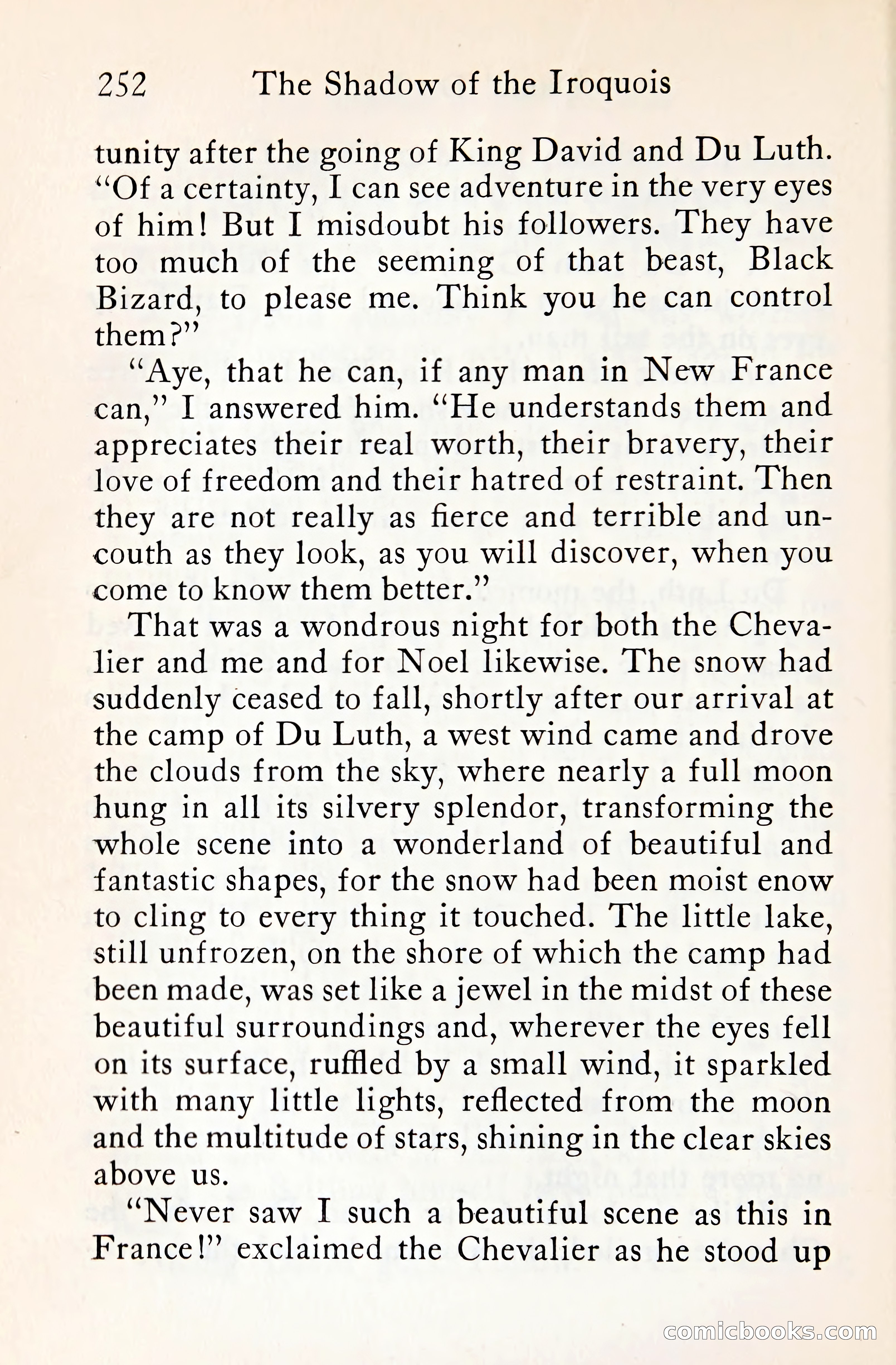 The Shadow of the Iroquois — page 273 of 399