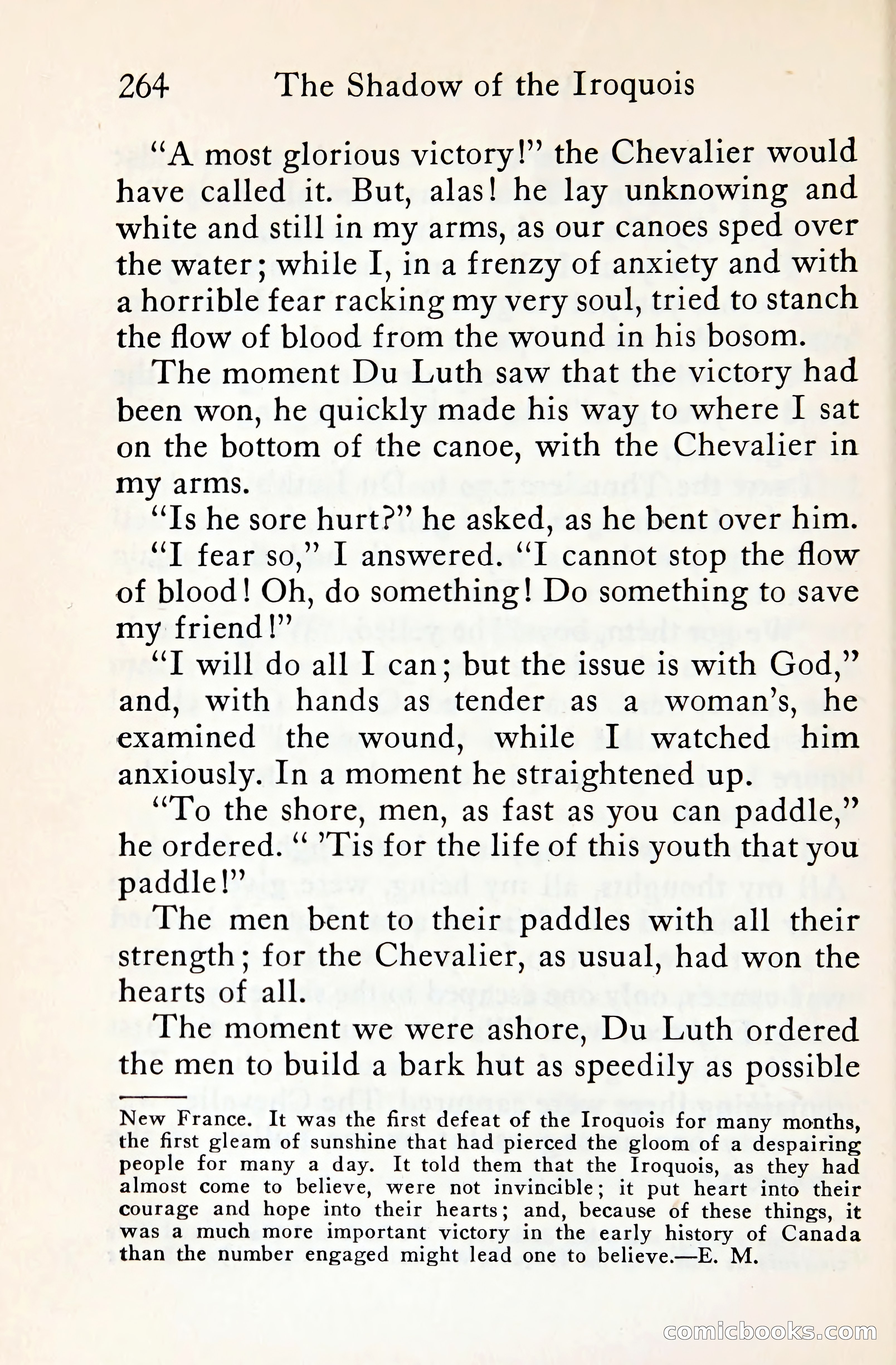 The Shadow of the Iroquois — page 285 of 399