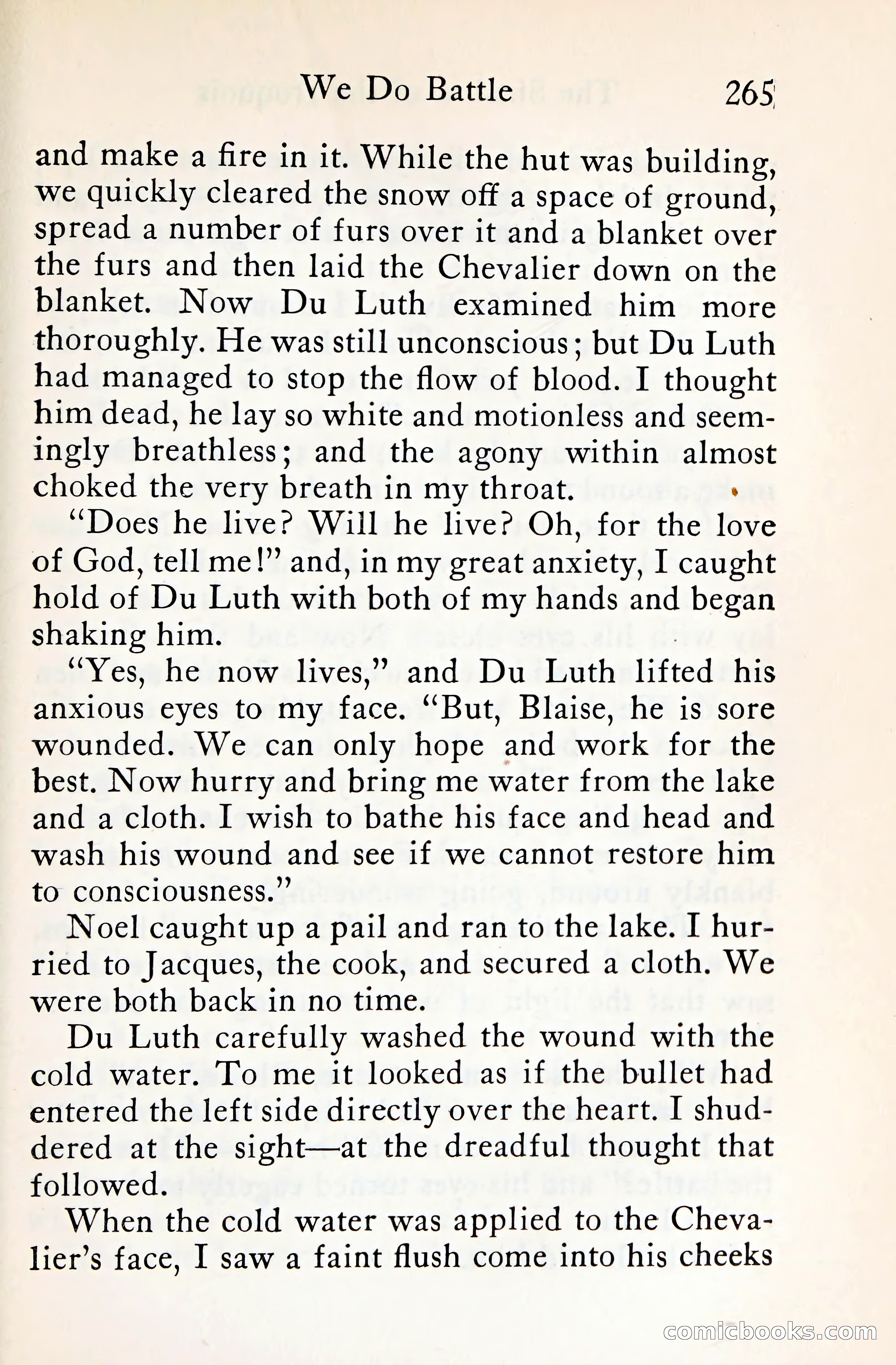 The Shadow of the Iroquois — page 286 of 399