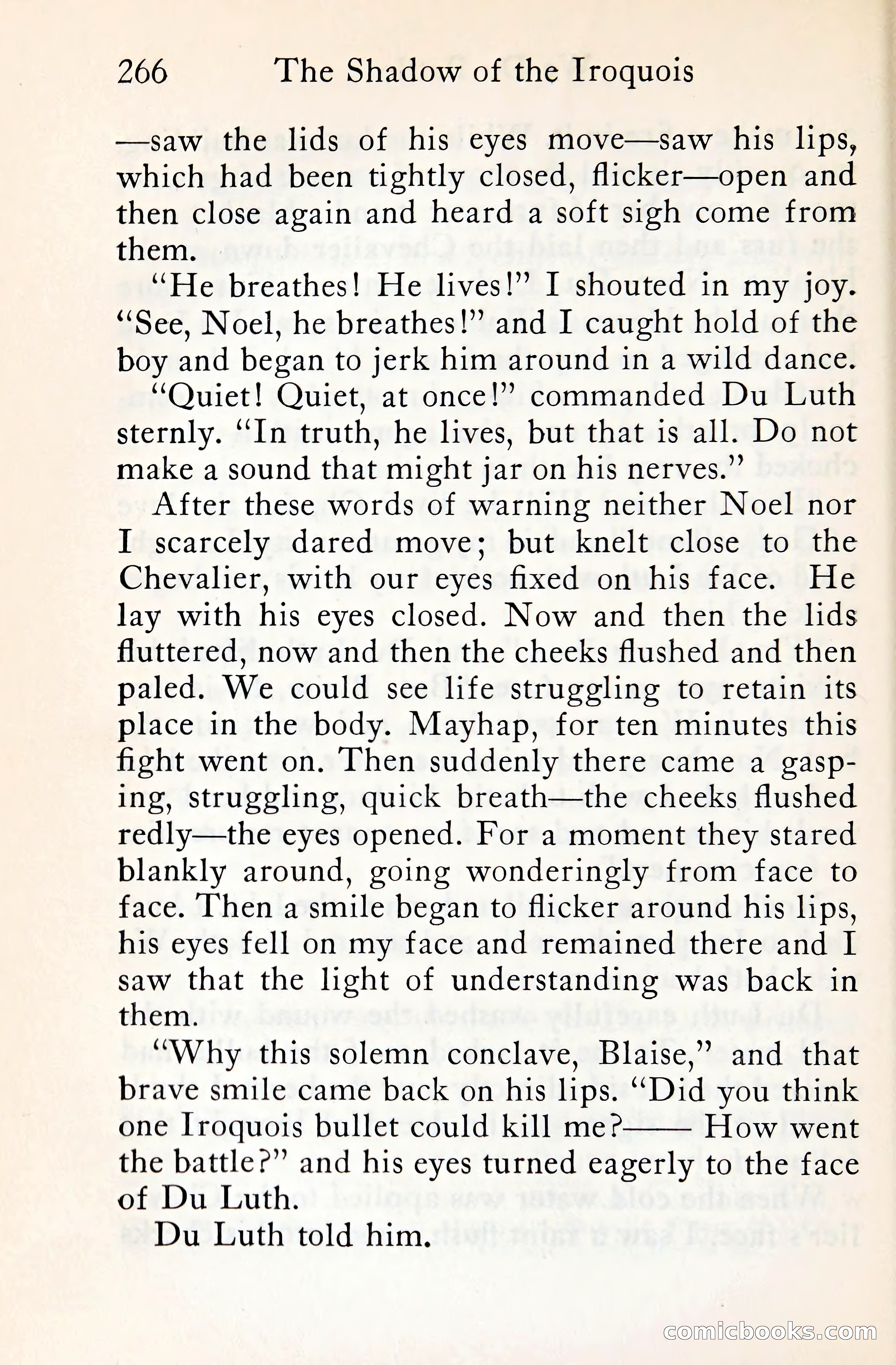 The Shadow of the Iroquois — page 287 of 399