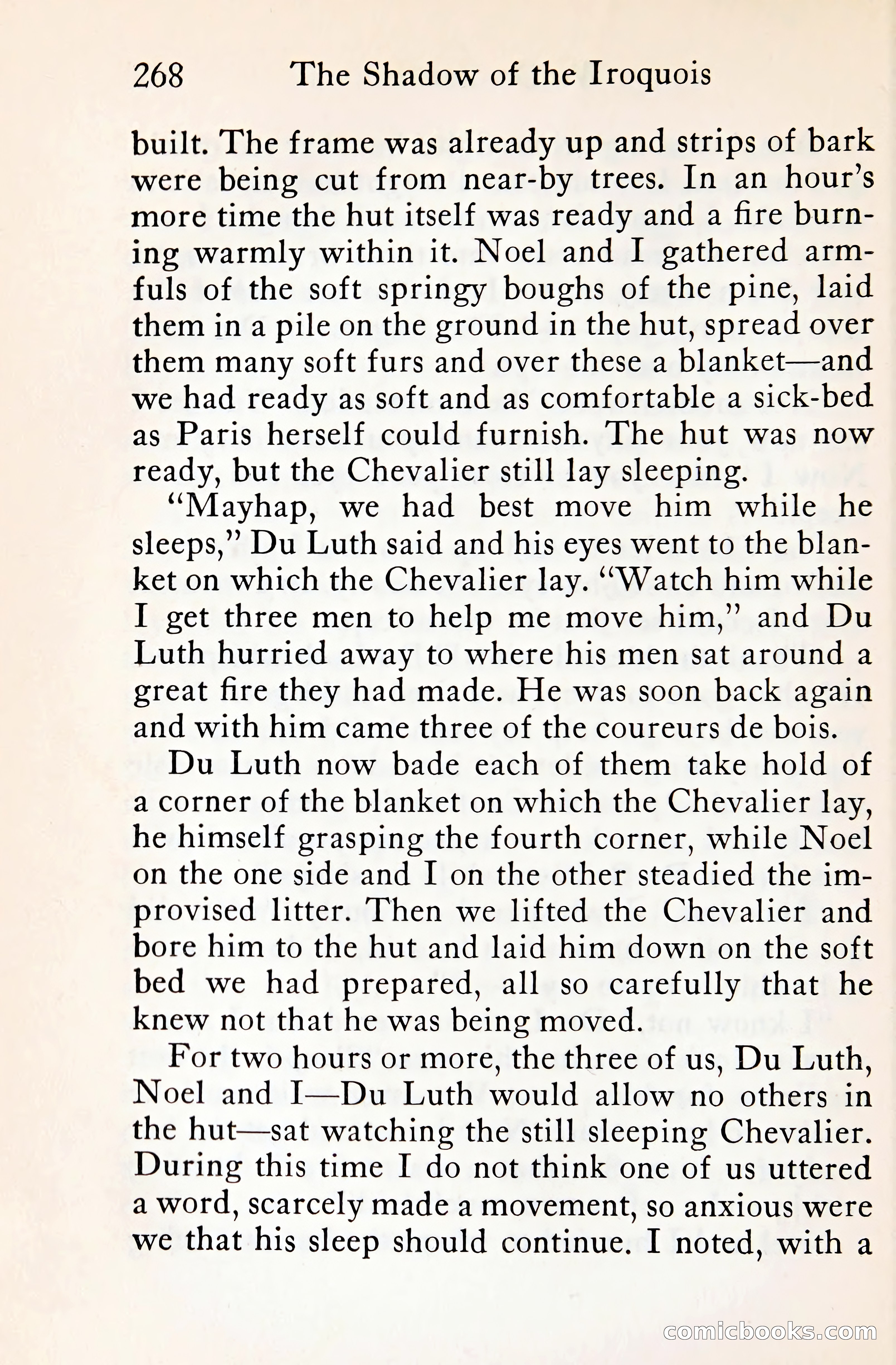 The Shadow of the Iroquois — page 289 of 399