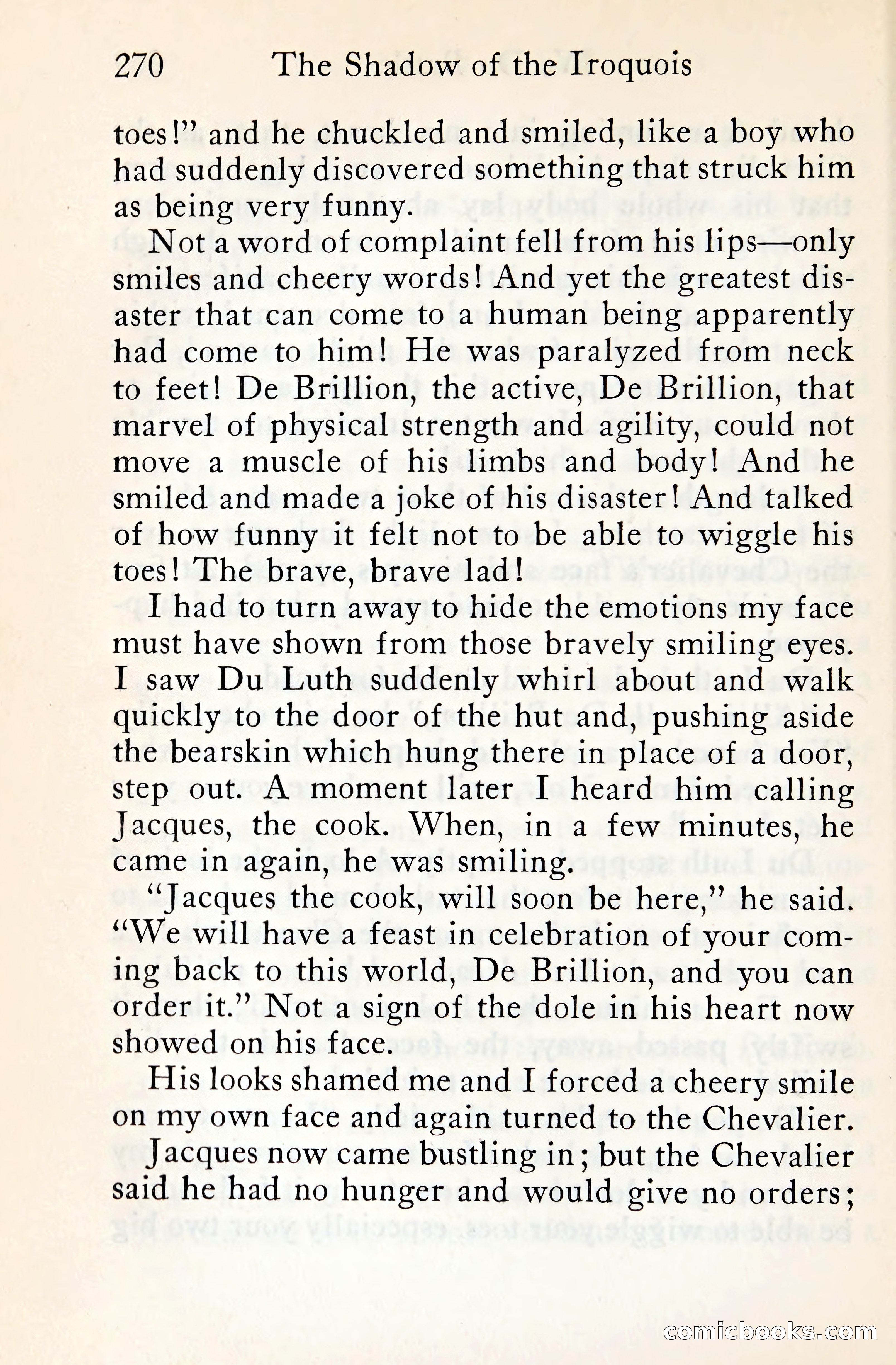 The Shadow of the Iroquois — page 291 of 399