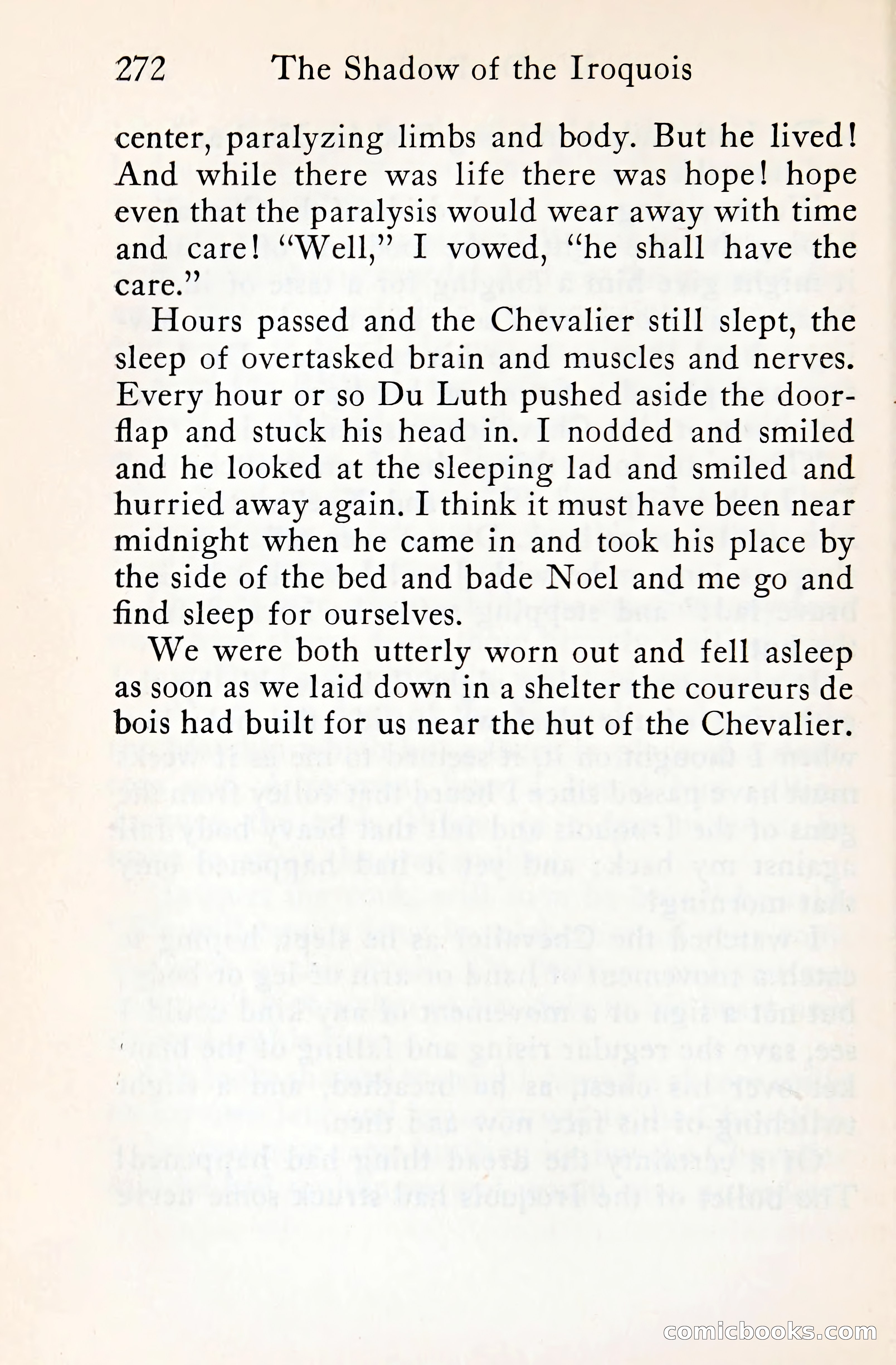 The Shadow of the Iroquois — page 293 of 399