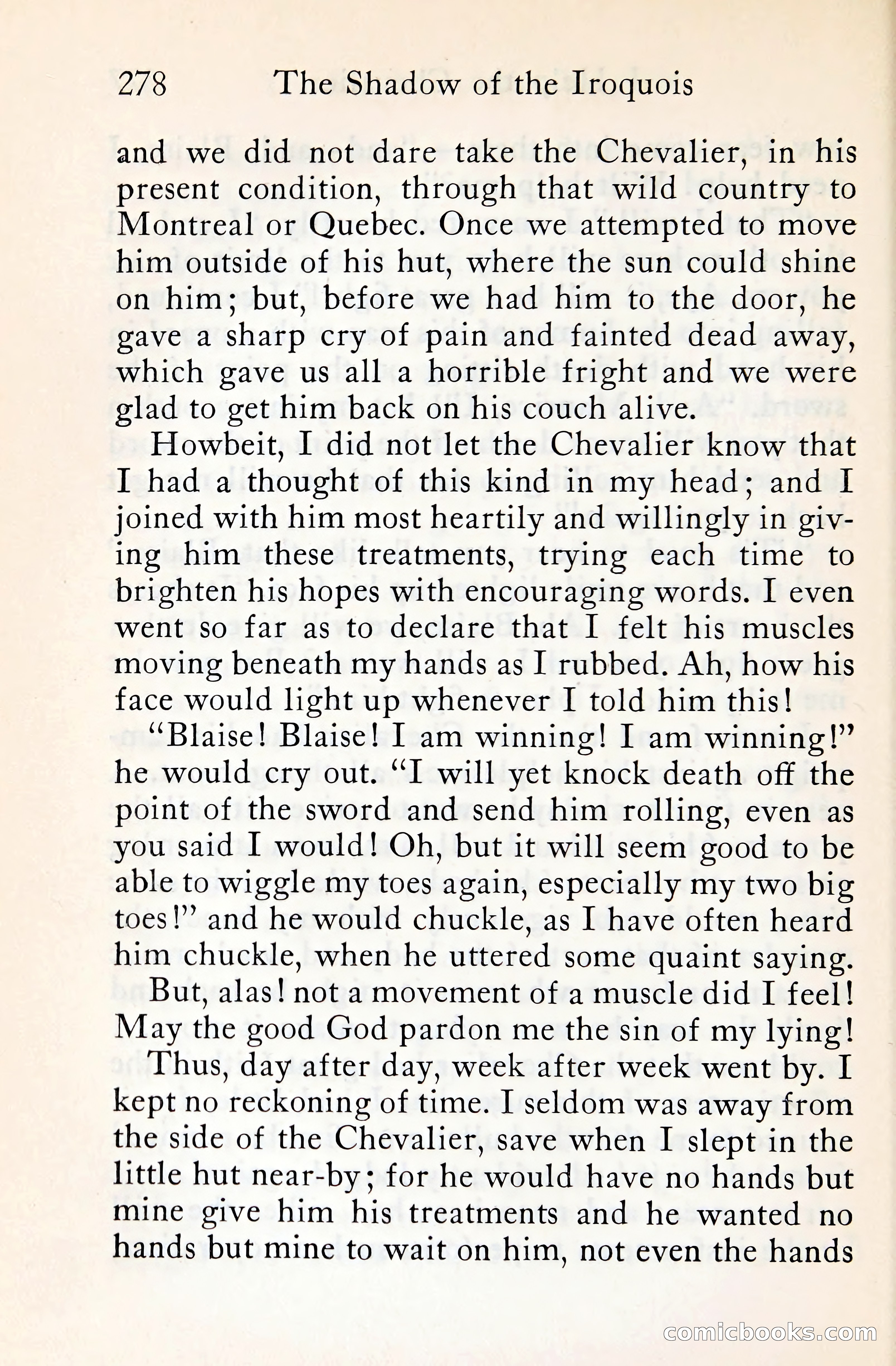 The Shadow of the Iroquois — page 299 of 399