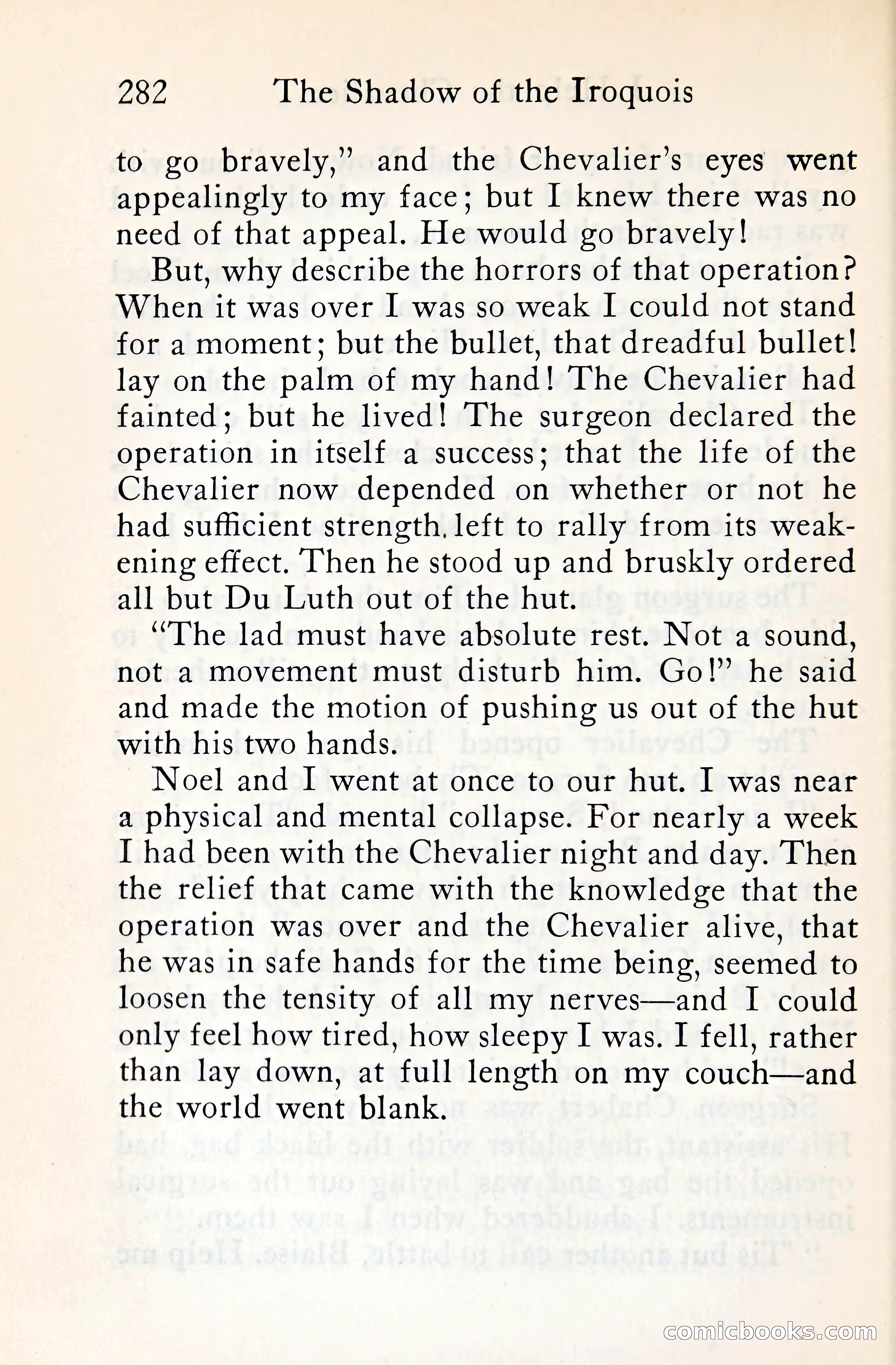 The Shadow of the Iroquois — page 303 of 399