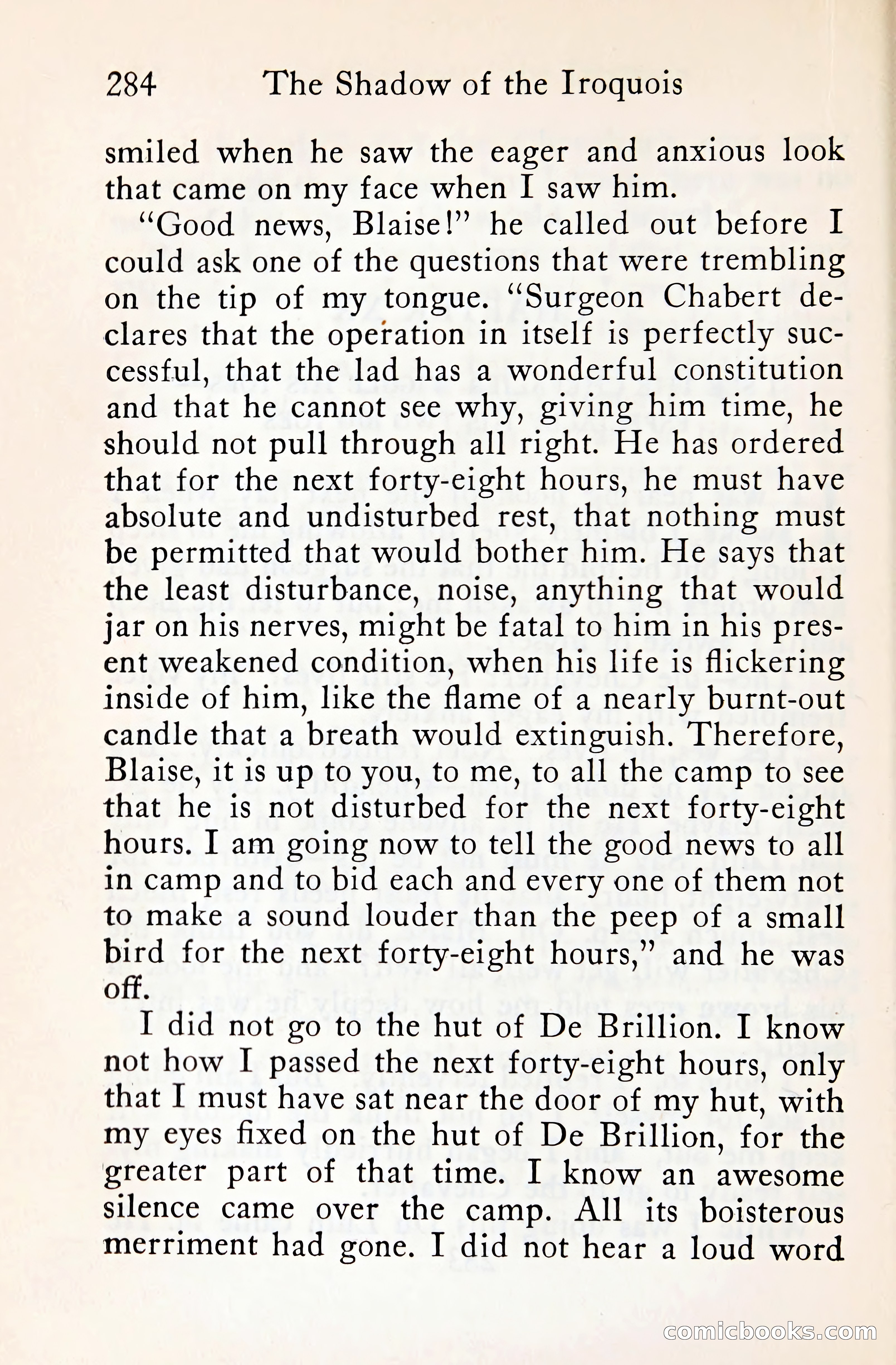The Shadow of the Iroquois — page 305 of 399