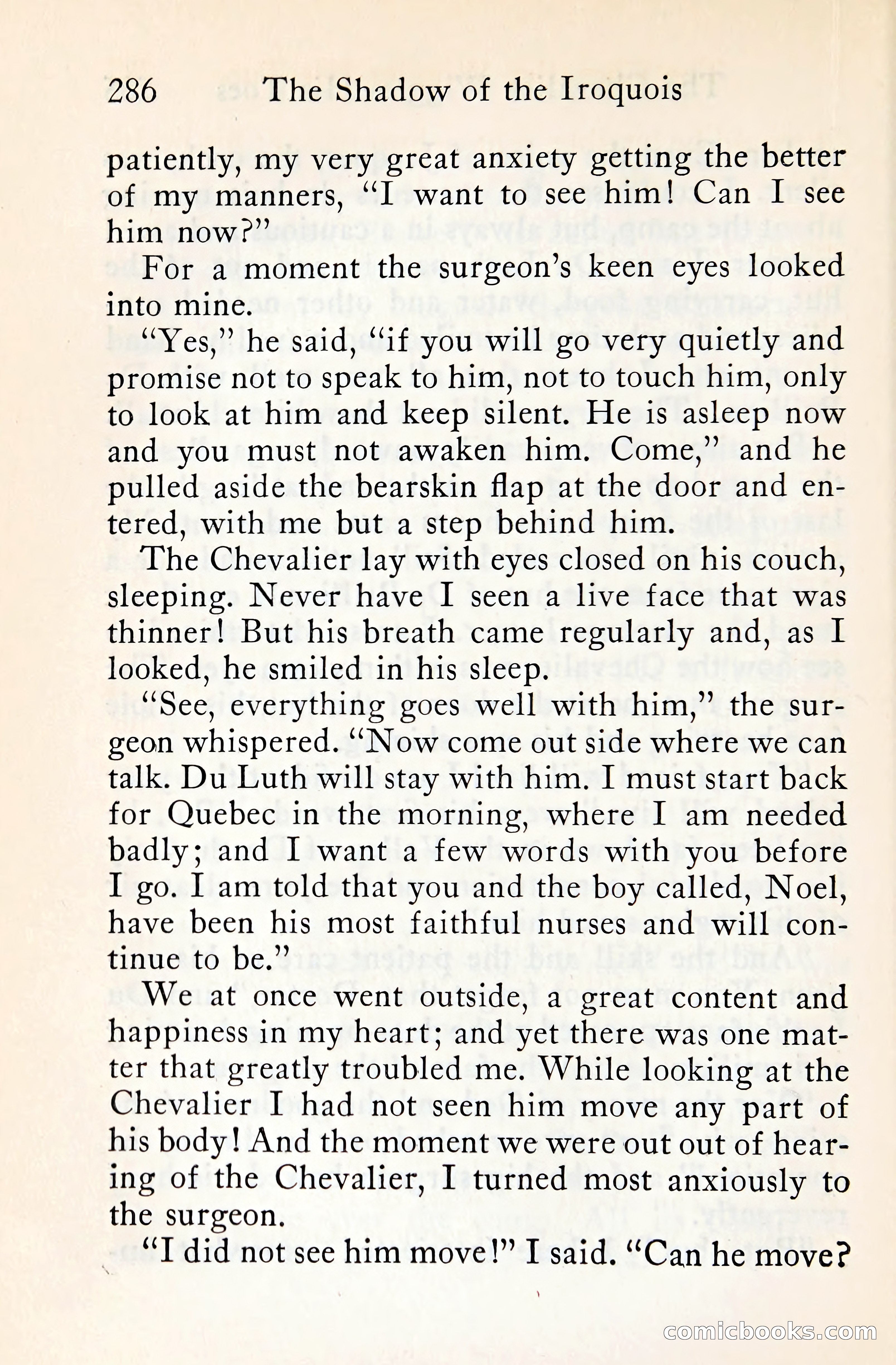 The Shadow of the Iroquois — page 307 of 399