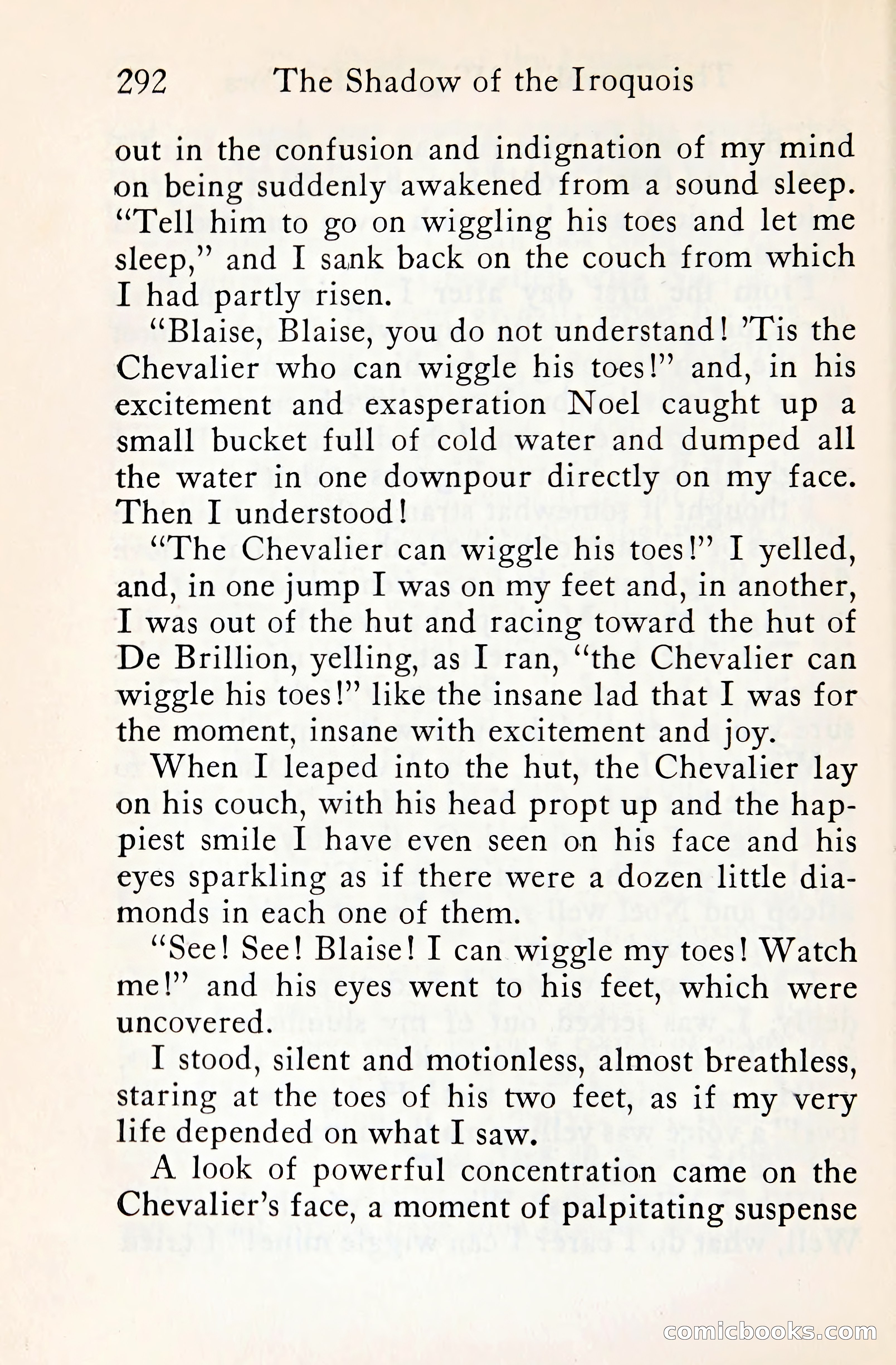 The Shadow of the Iroquois — page 313 of 399