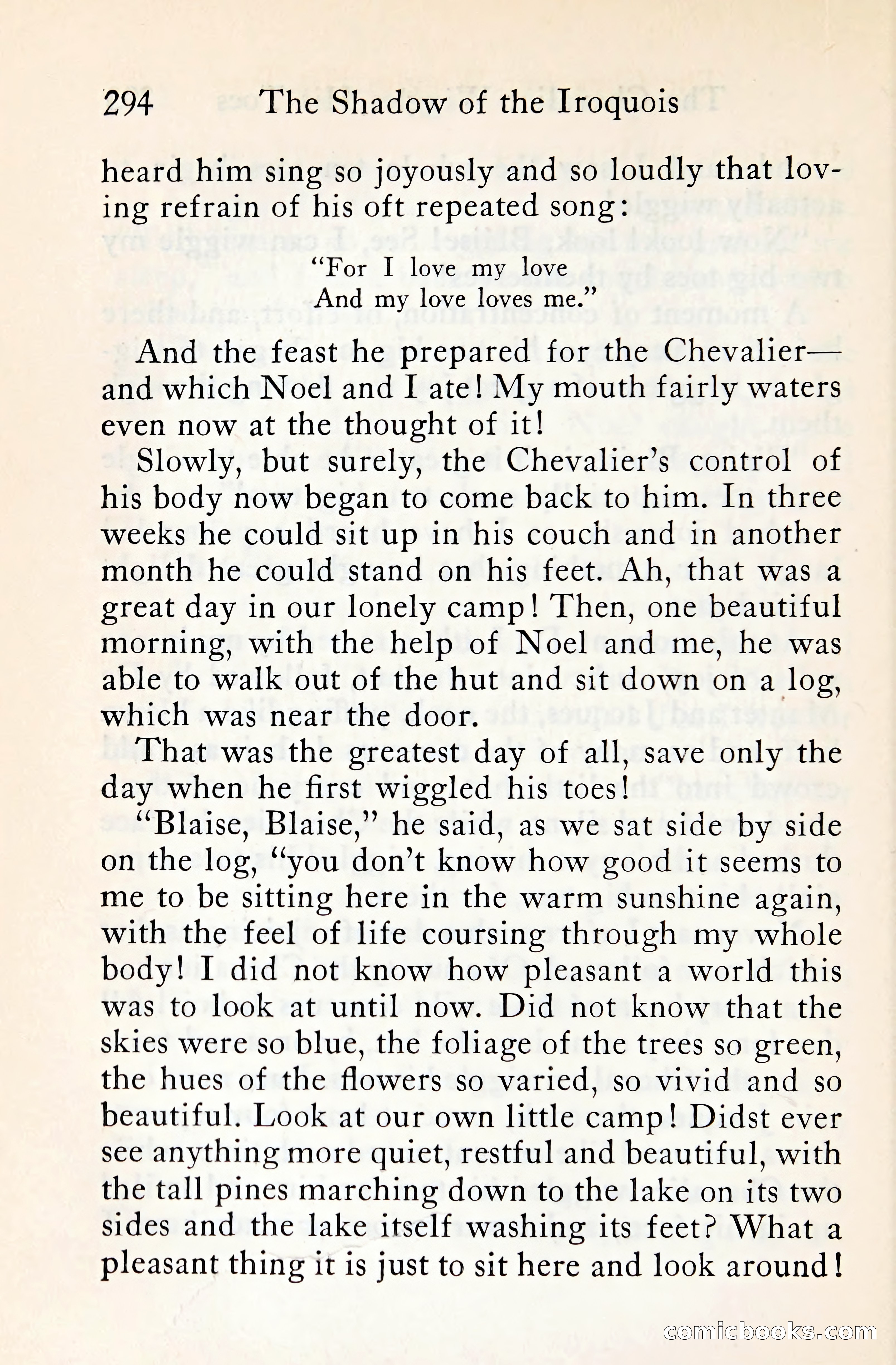 The Shadow of the Iroquois — page 315 of 399