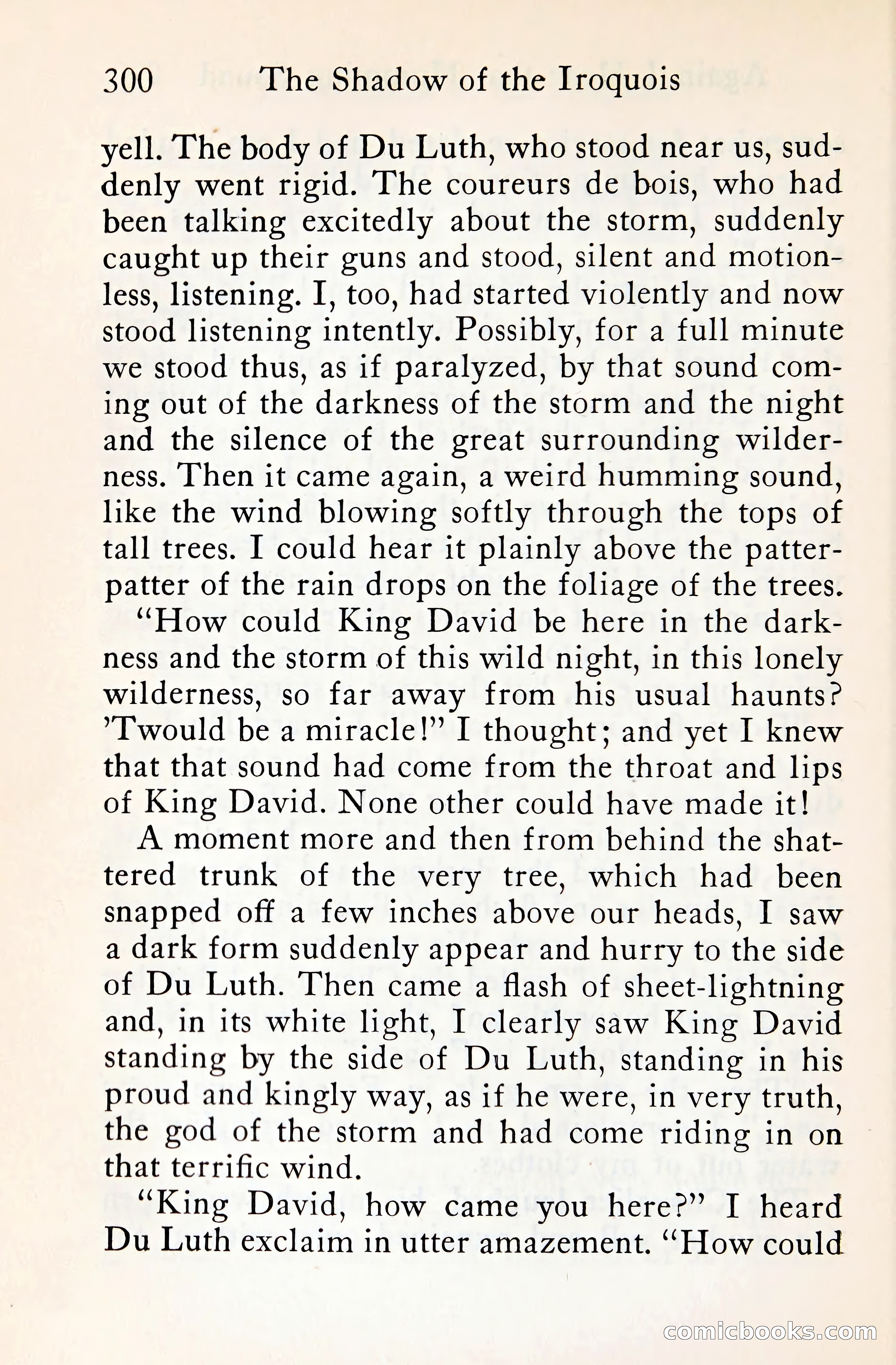The Shadow of the Iroquois — page 321 of 399