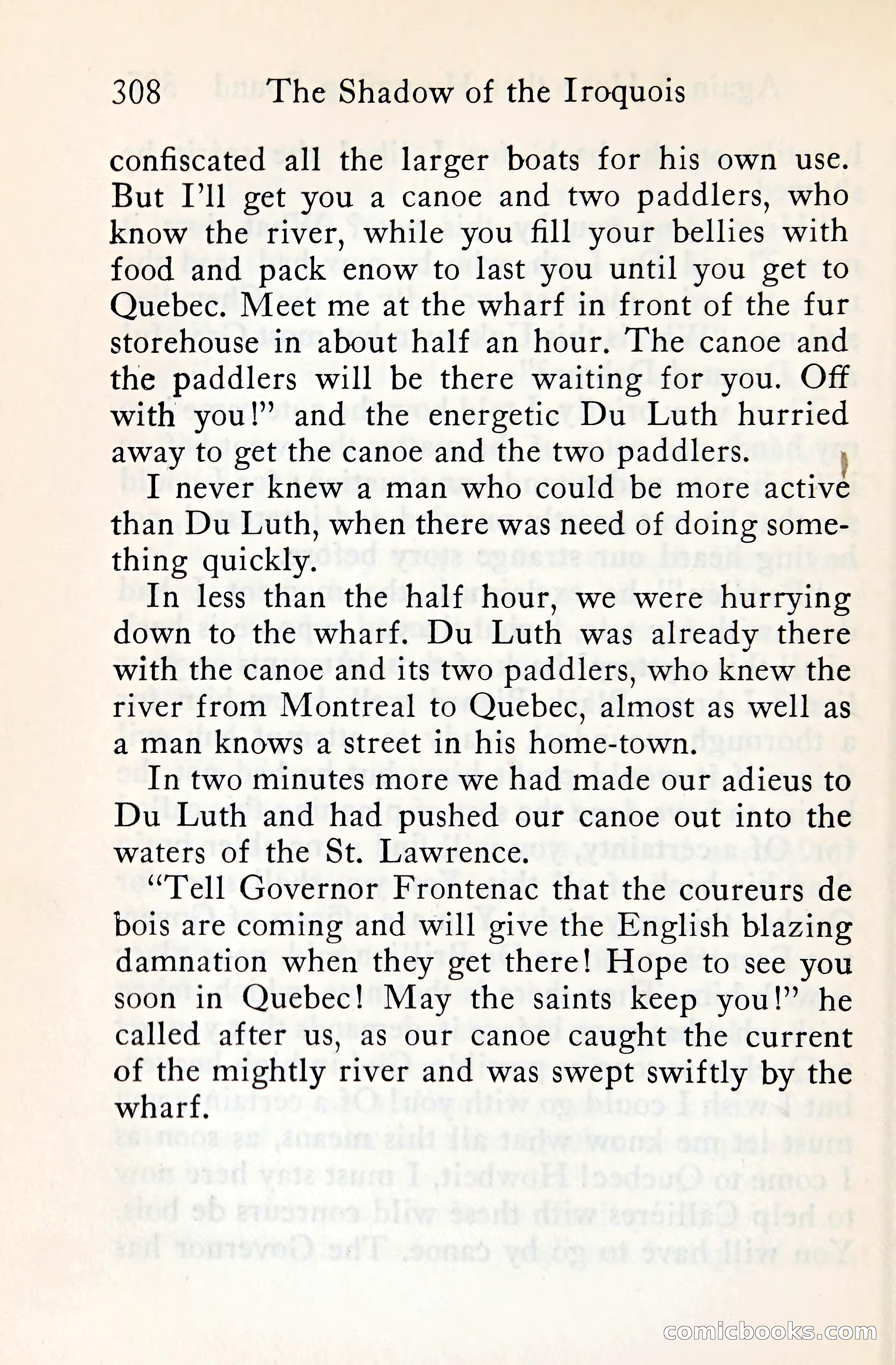 The Shadow of the Iroquois — page 329 of 399