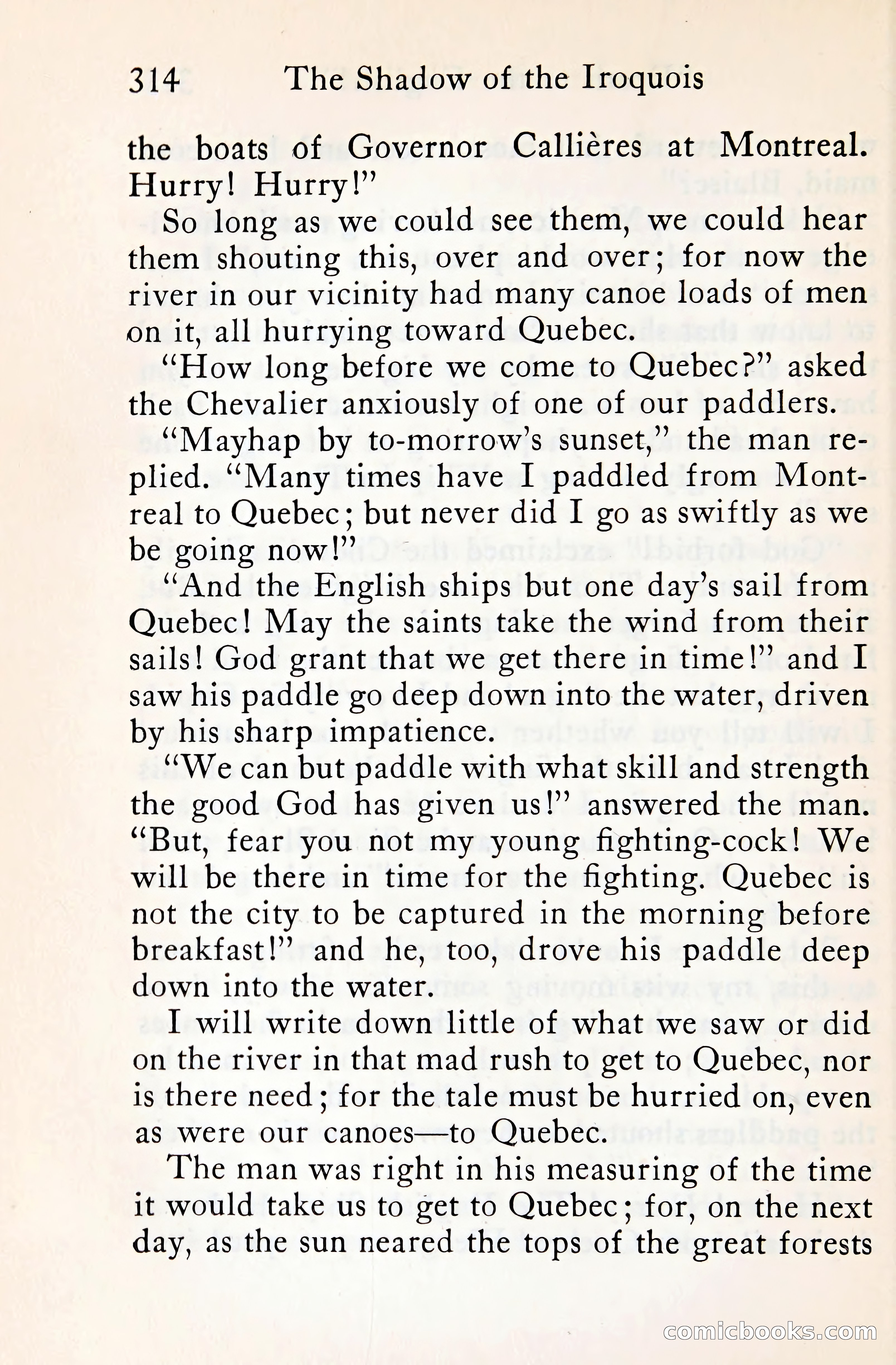 The Shadow of the Iroquois — page 335 of 399
