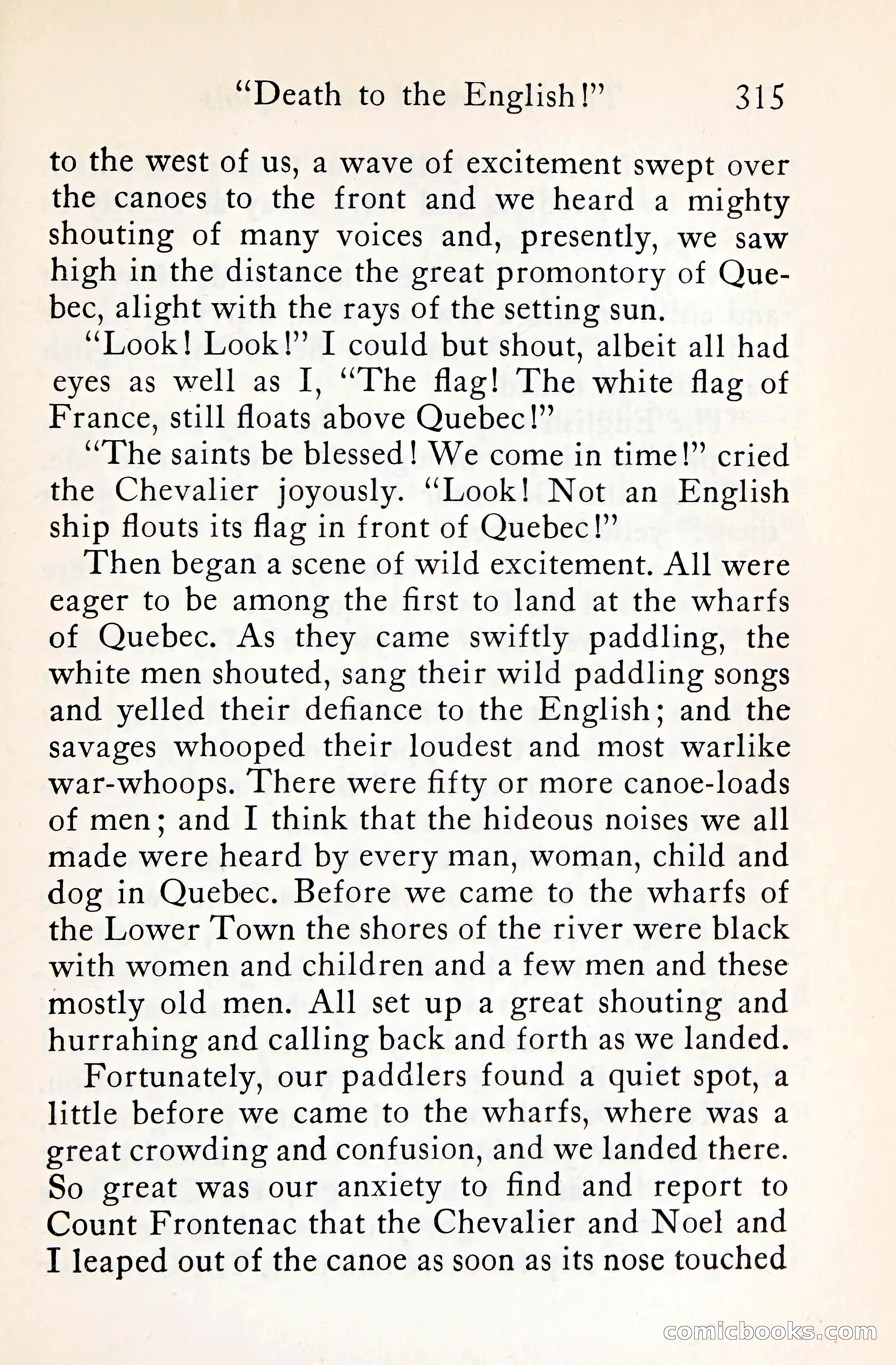 The Shadow of the Iroquois — page 336 of 399