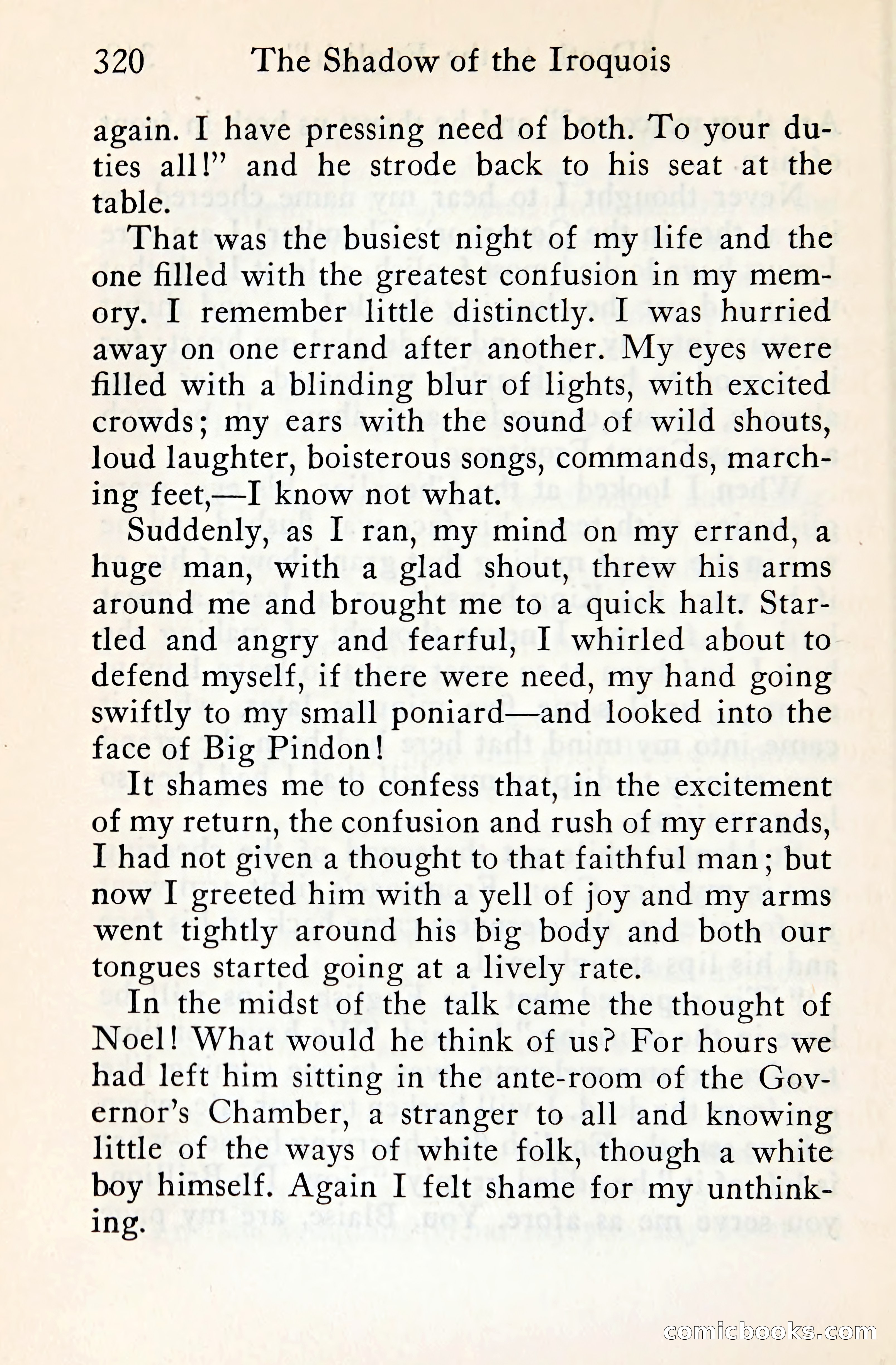 The Shadow of the Iroquois — page 341 of 399