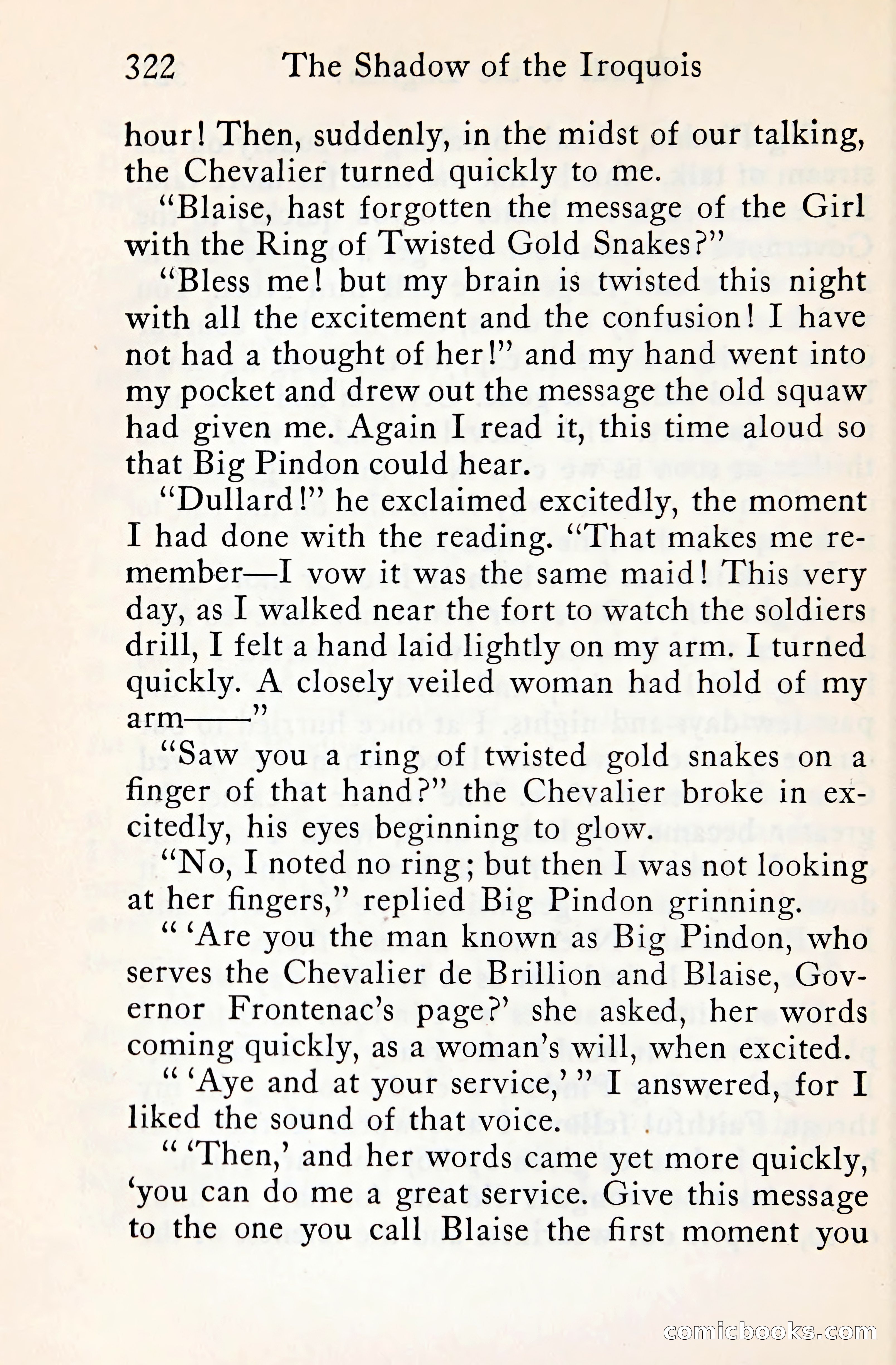 The Shadow of the Iroquois — page 343 of 399