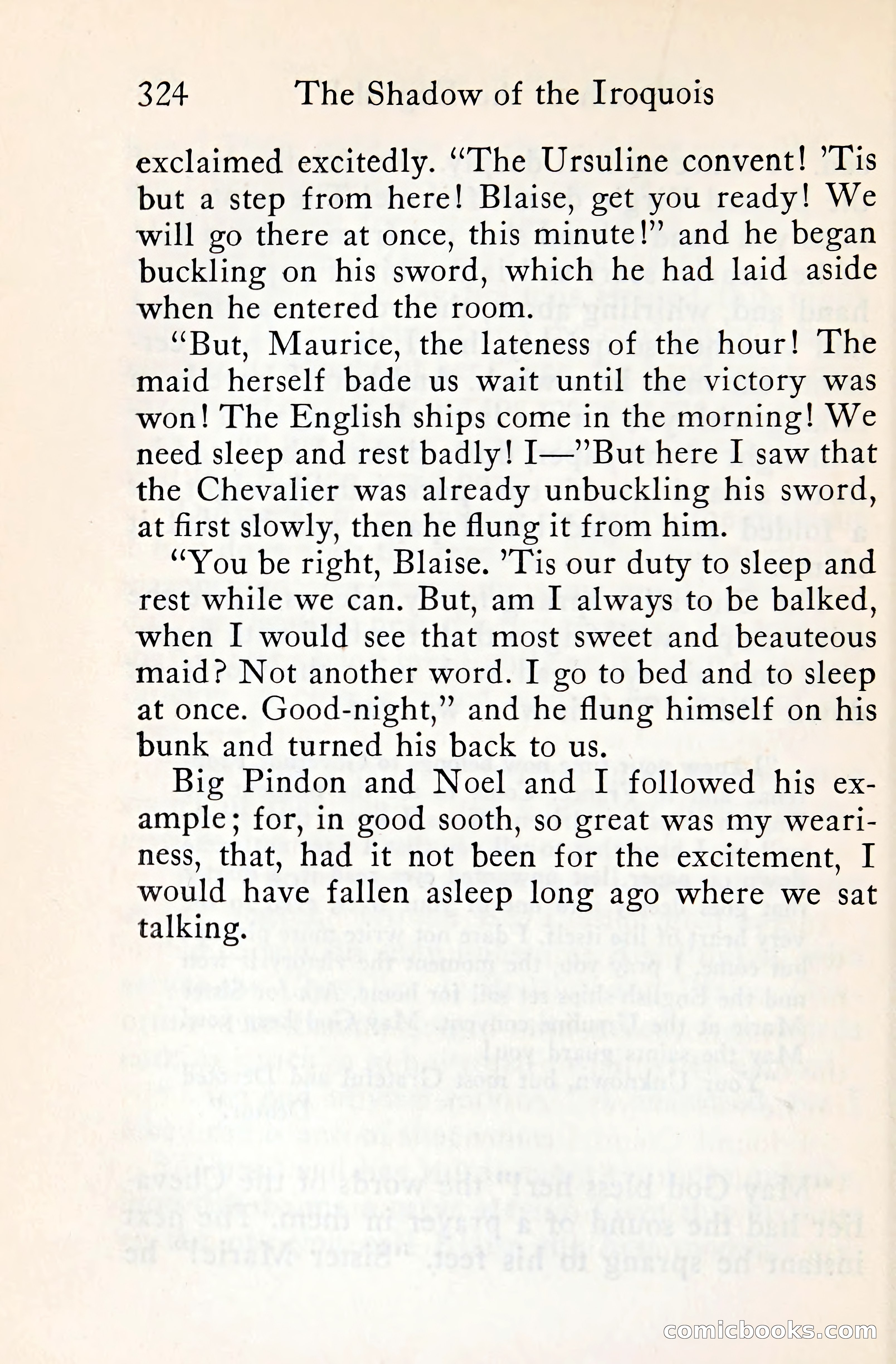 The Shadow of the Iroquois — page 345 of 399