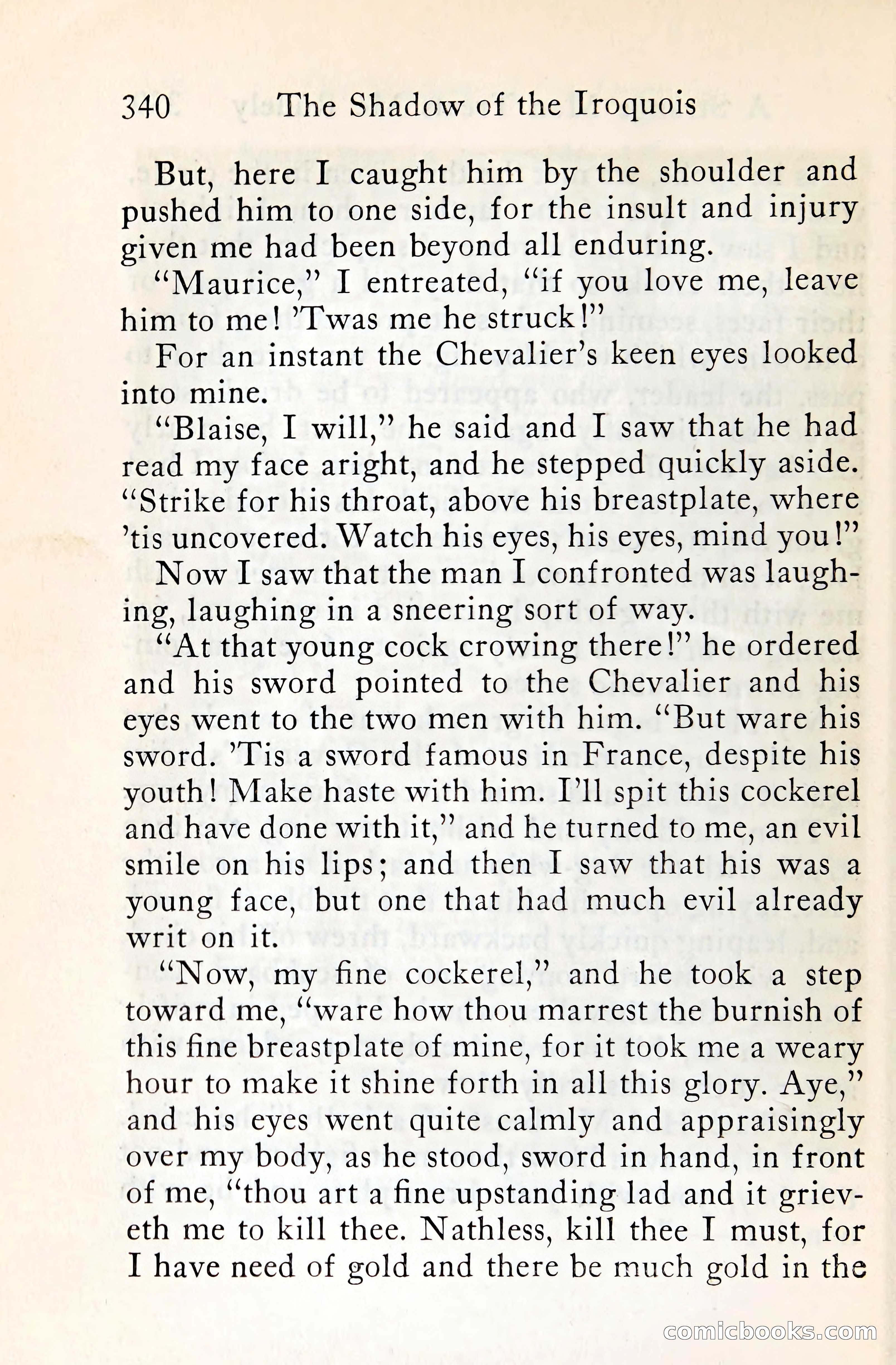The Shadow of the Iroquois — page 361 of 399