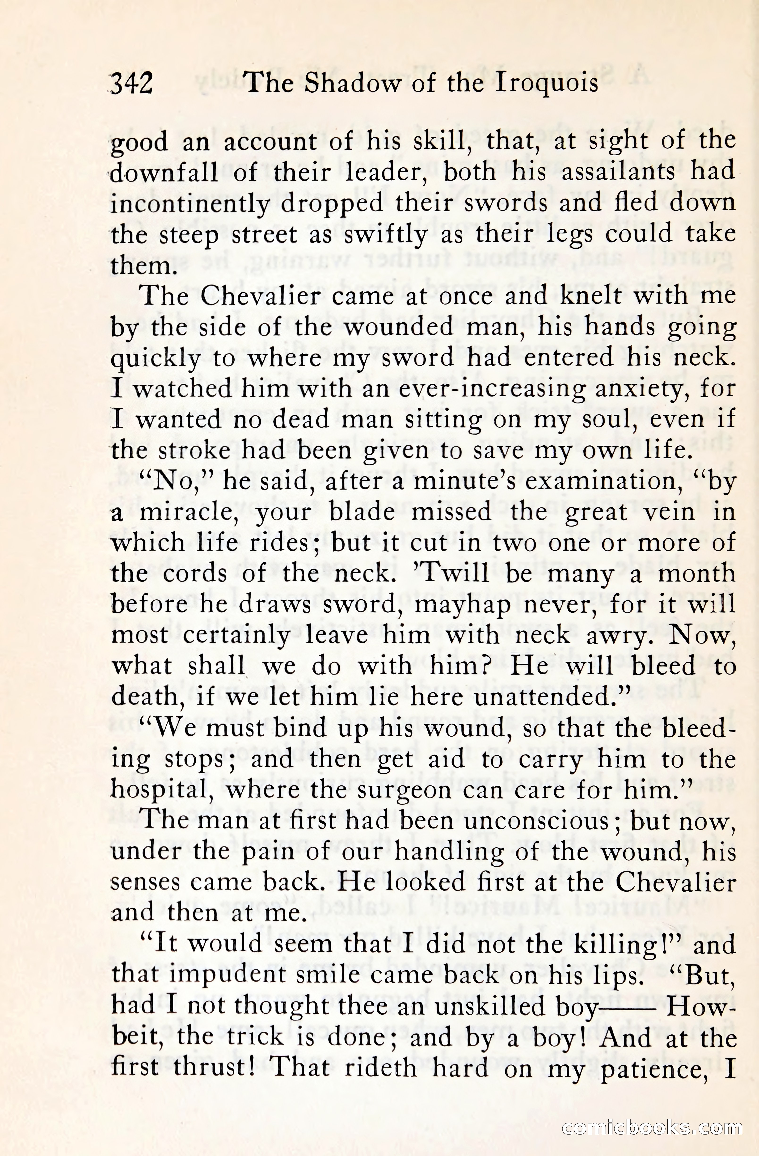 The Shadow of the Iroquois — page 365 of 399