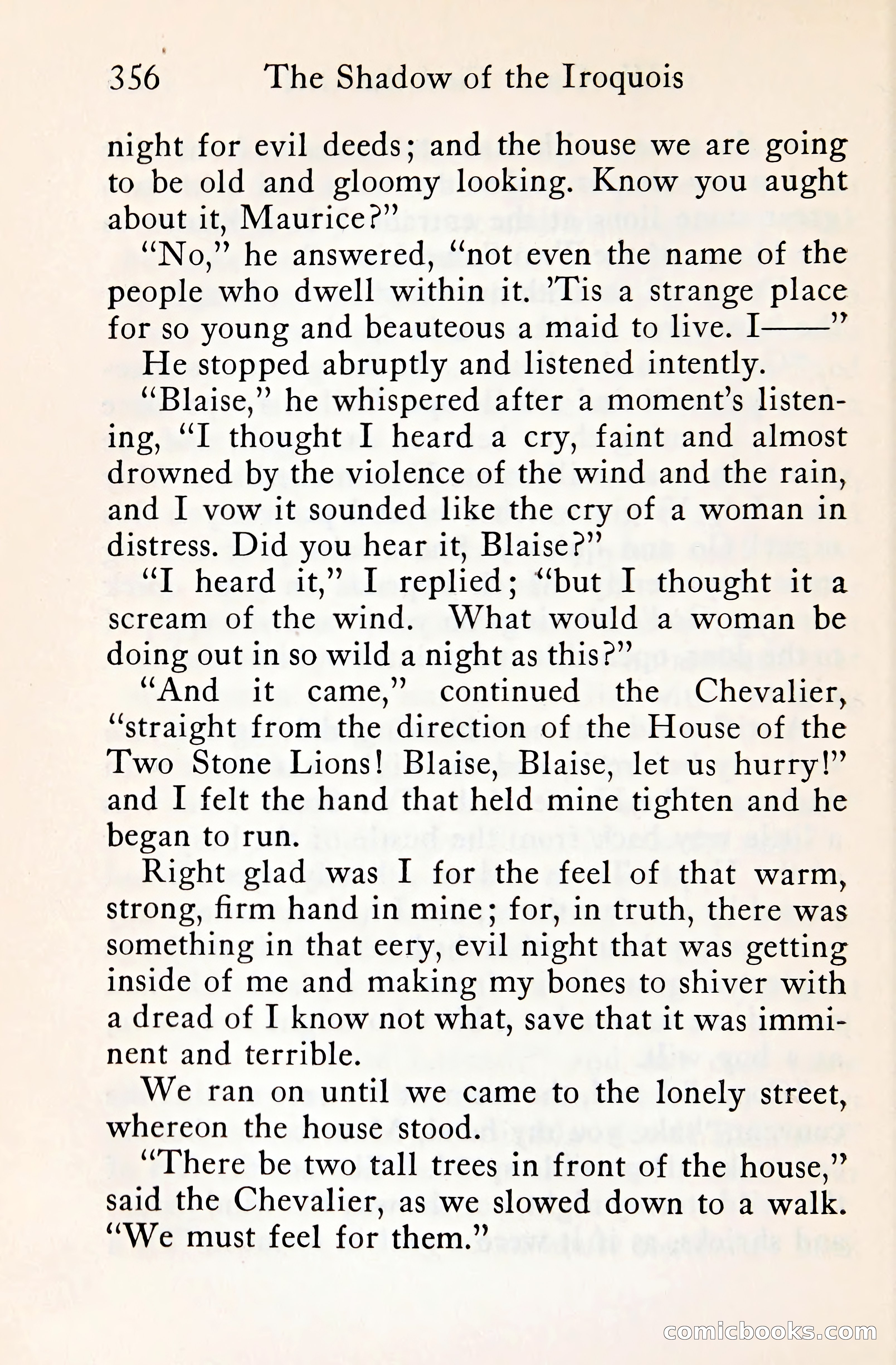 The Shadow of the Iroquois — page 379 of 399
