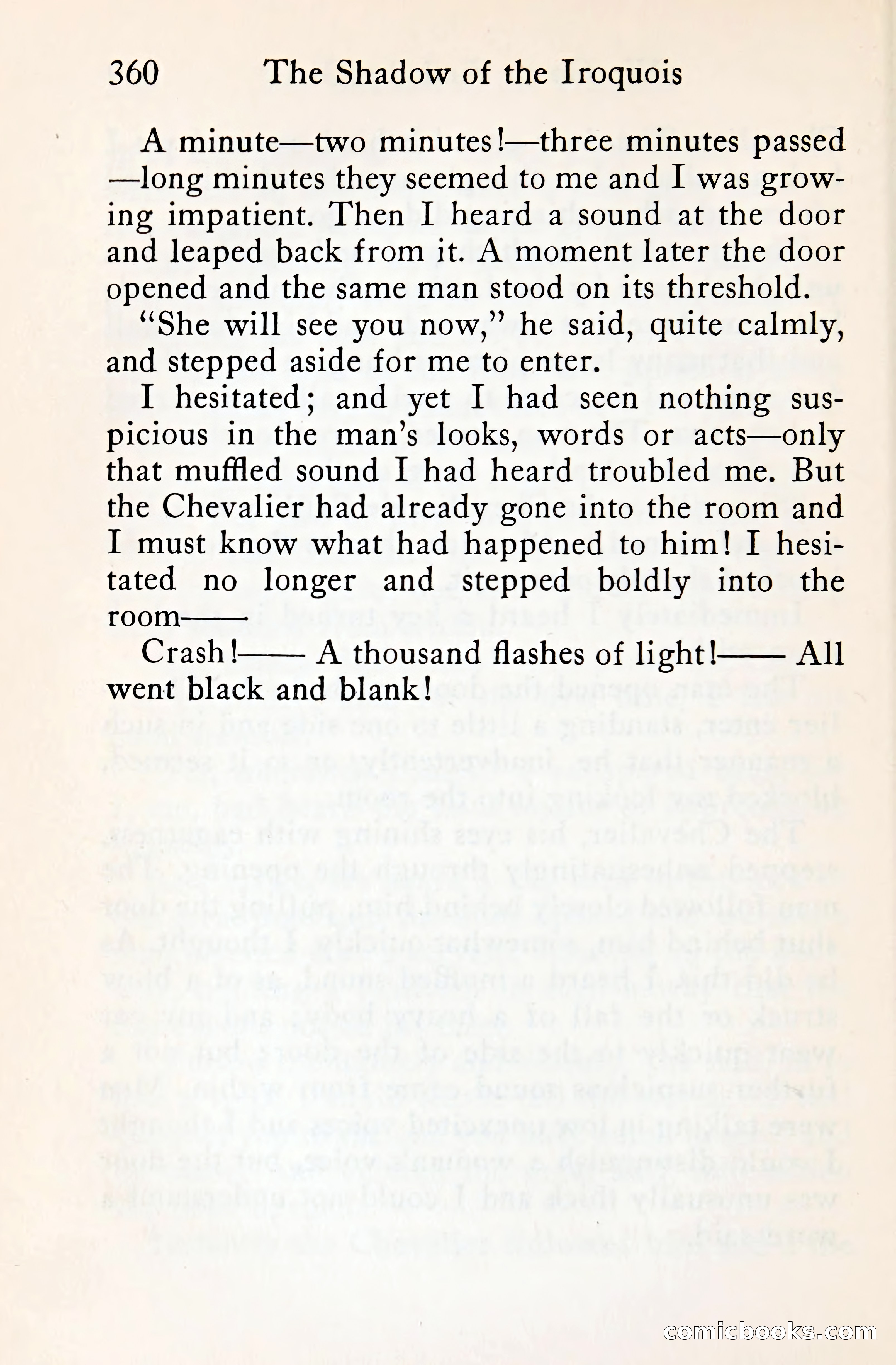 The Shadow of the Iroquois — page 383 of 399