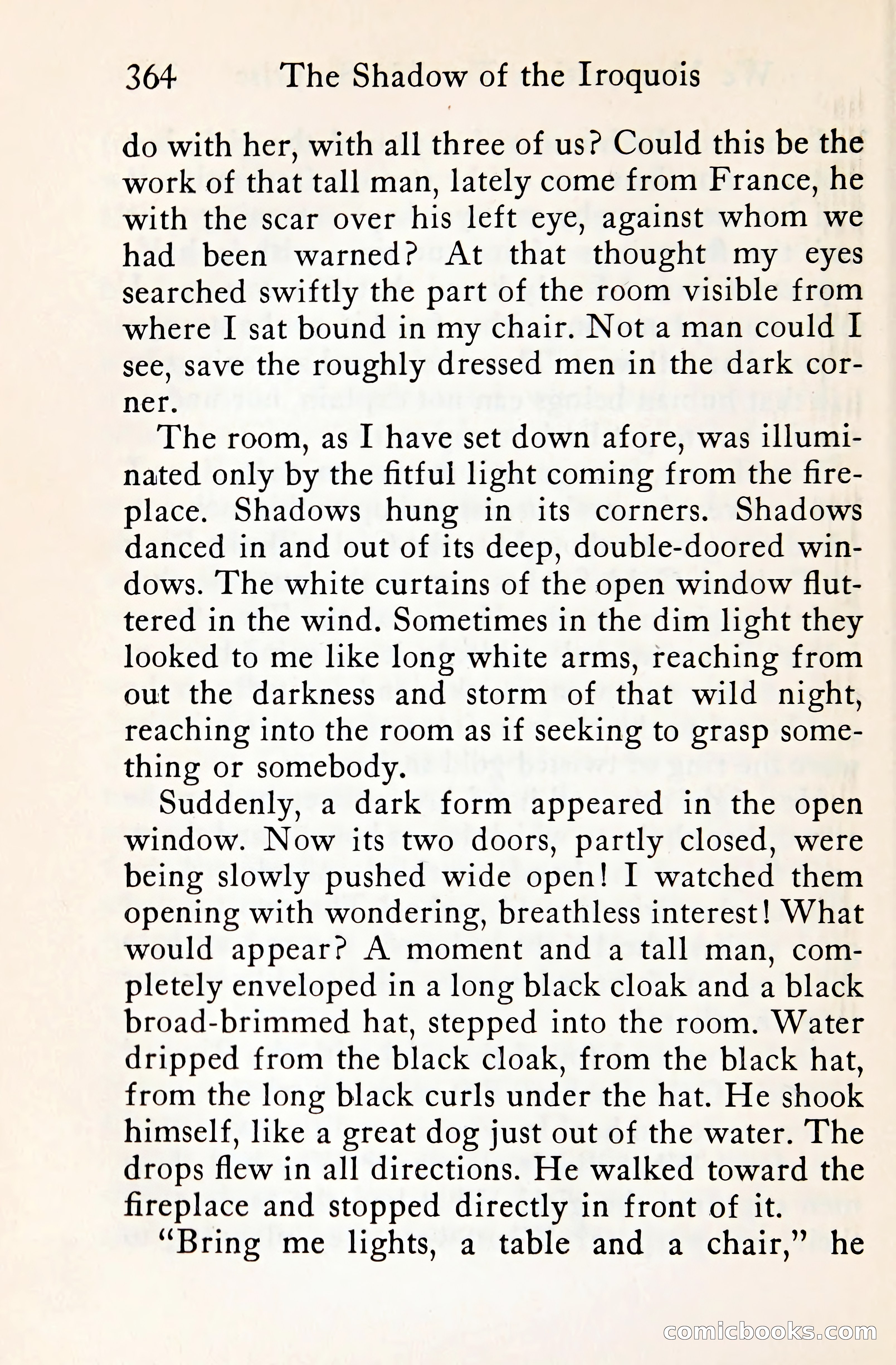 The Shadow of the Iroquois — page 387 of 399