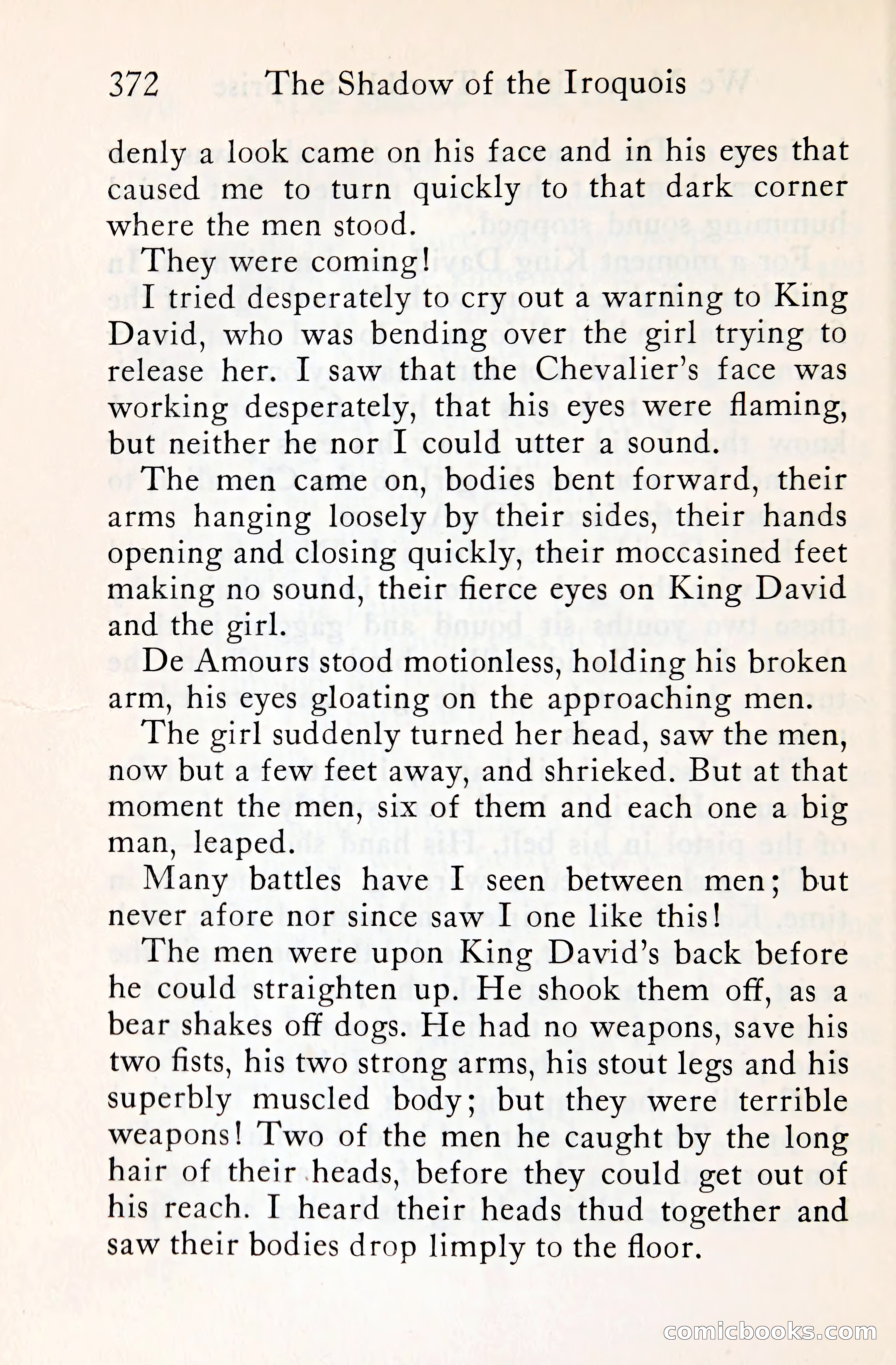 The Shadow of the Iroquois — page 395 of 399