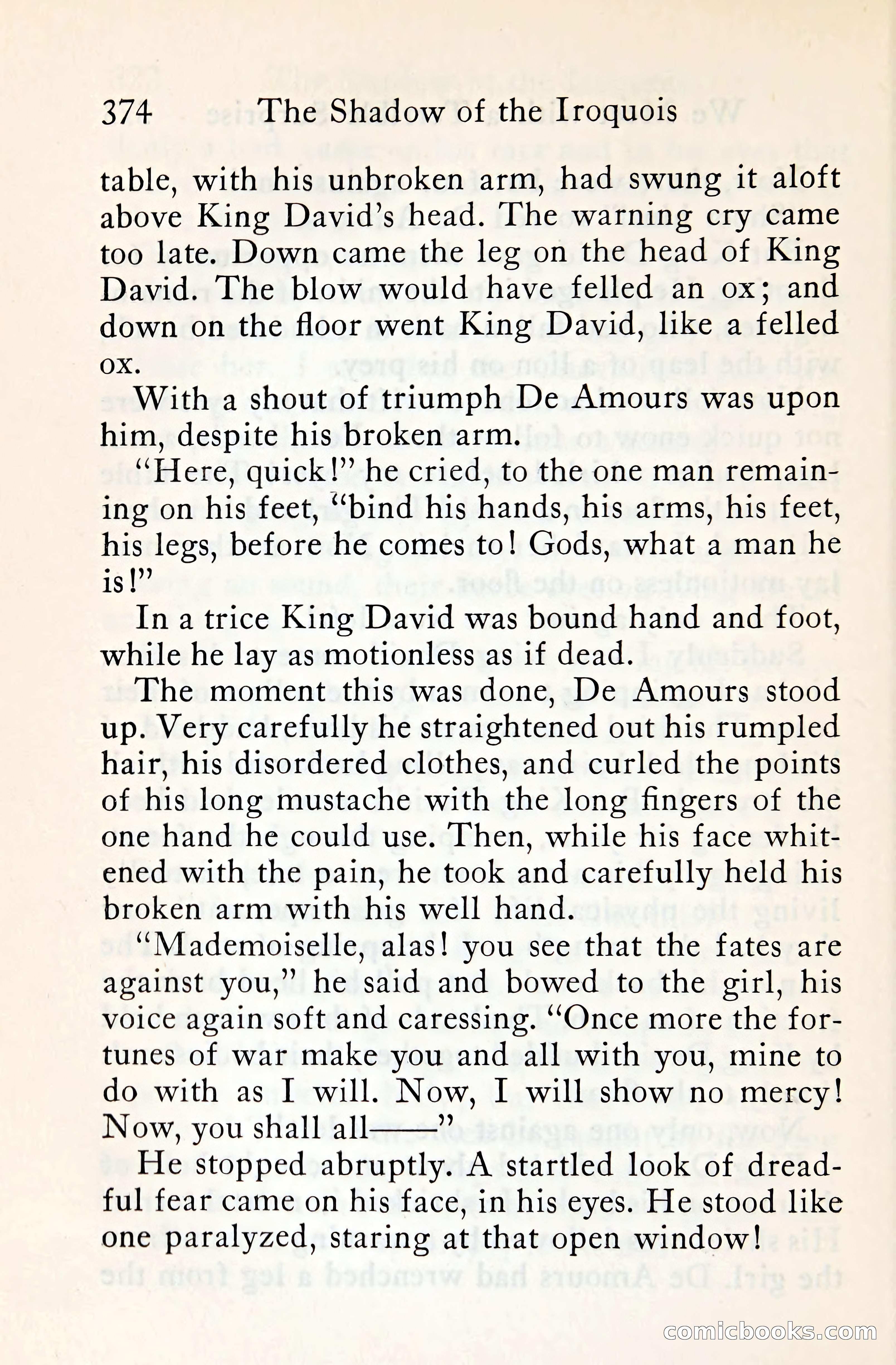 The Shadow of the Iroquois — page 397 of 399