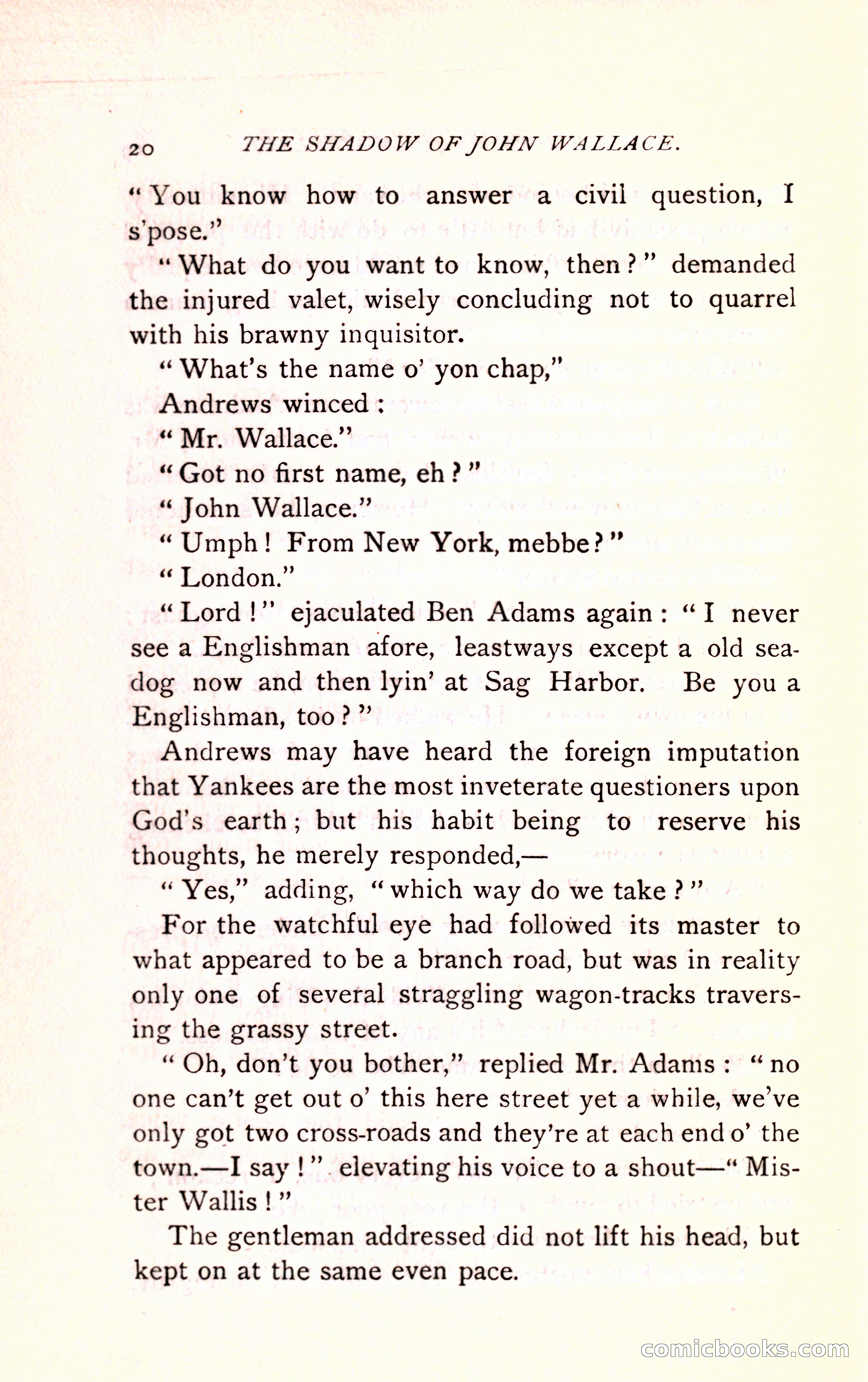 The Shadow of John Wallace — page 22 of 400