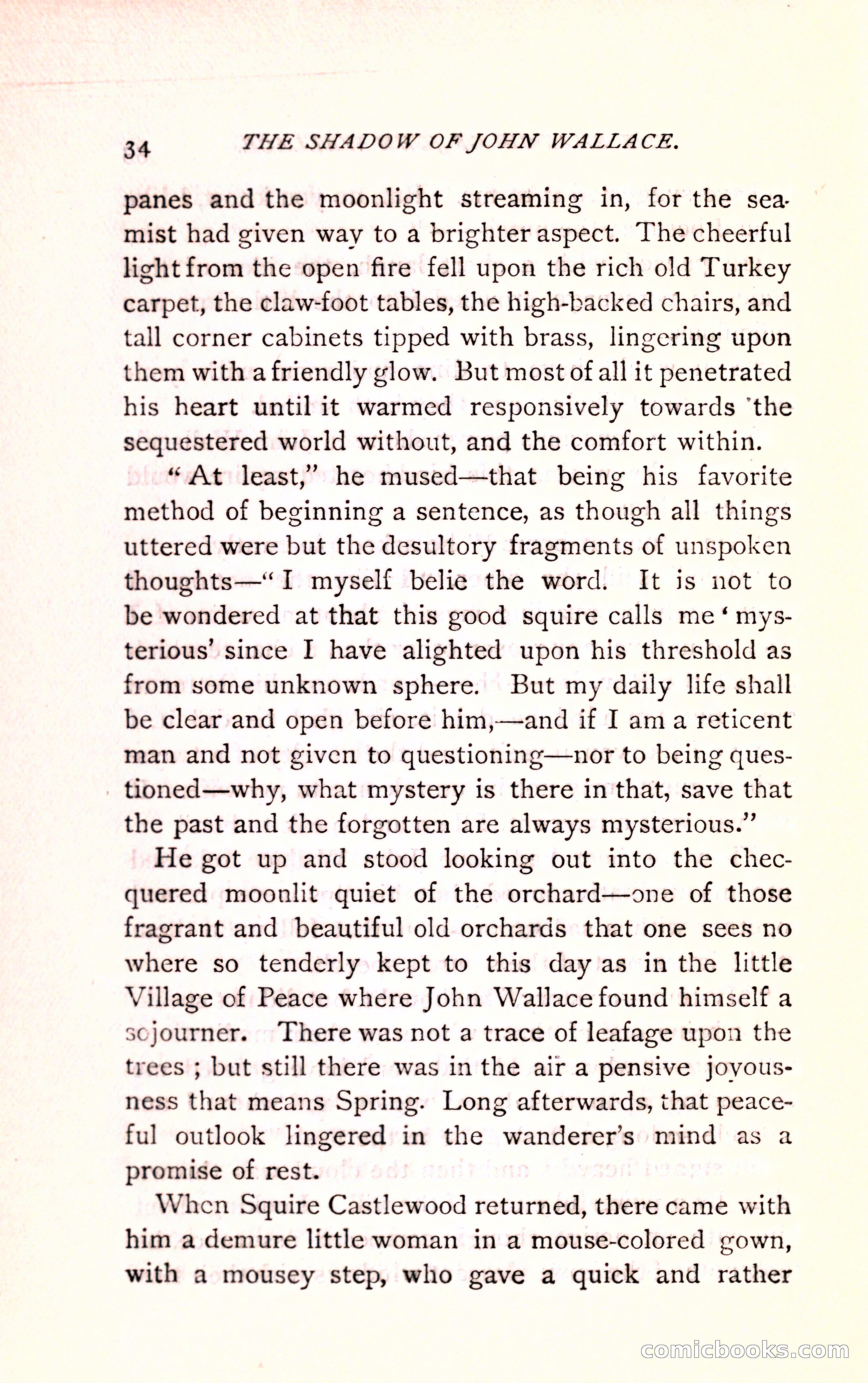 The Shadow of John Wallace — page 36 of 400