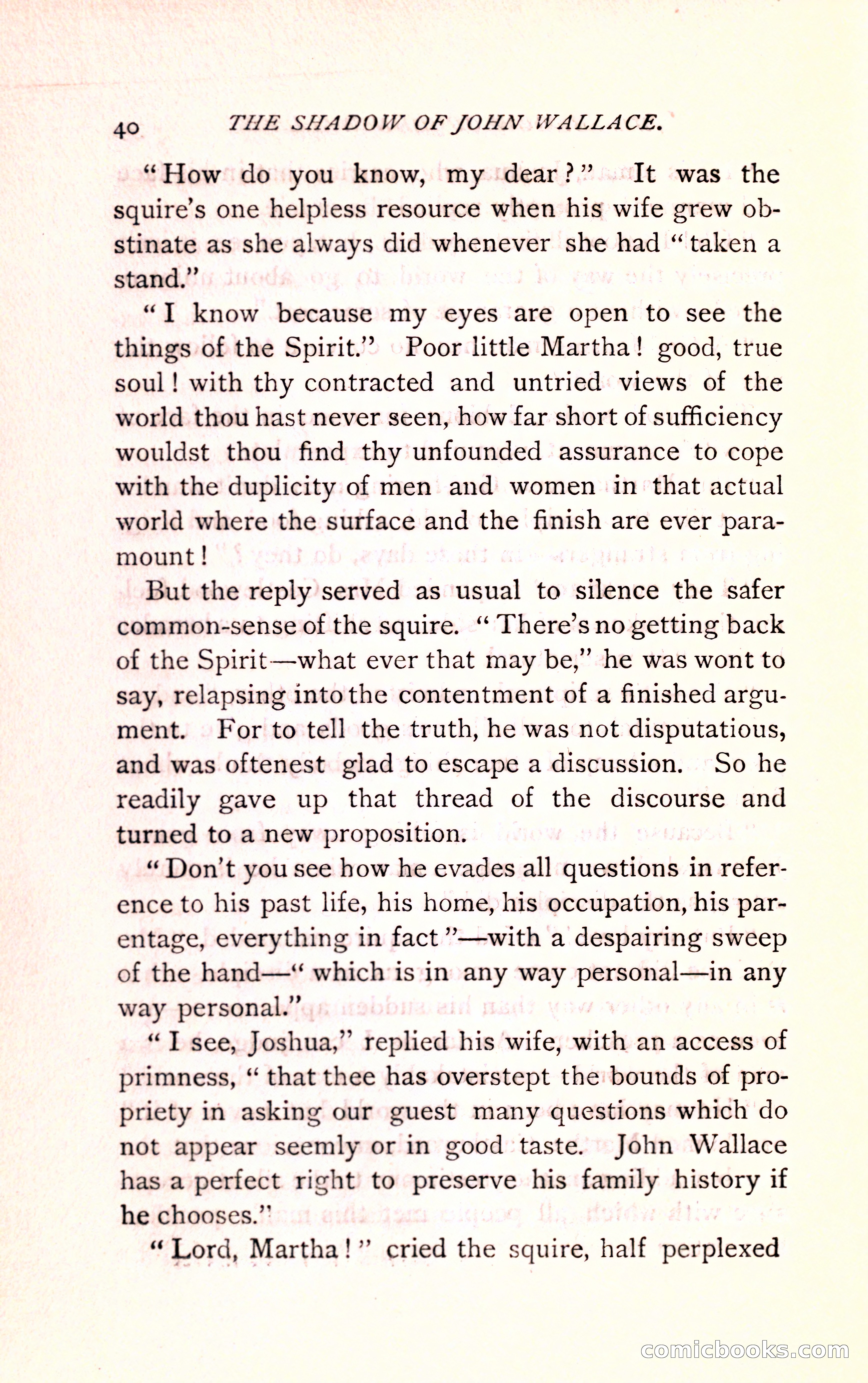 The Shadow of John Wallace — page 42 of 400
