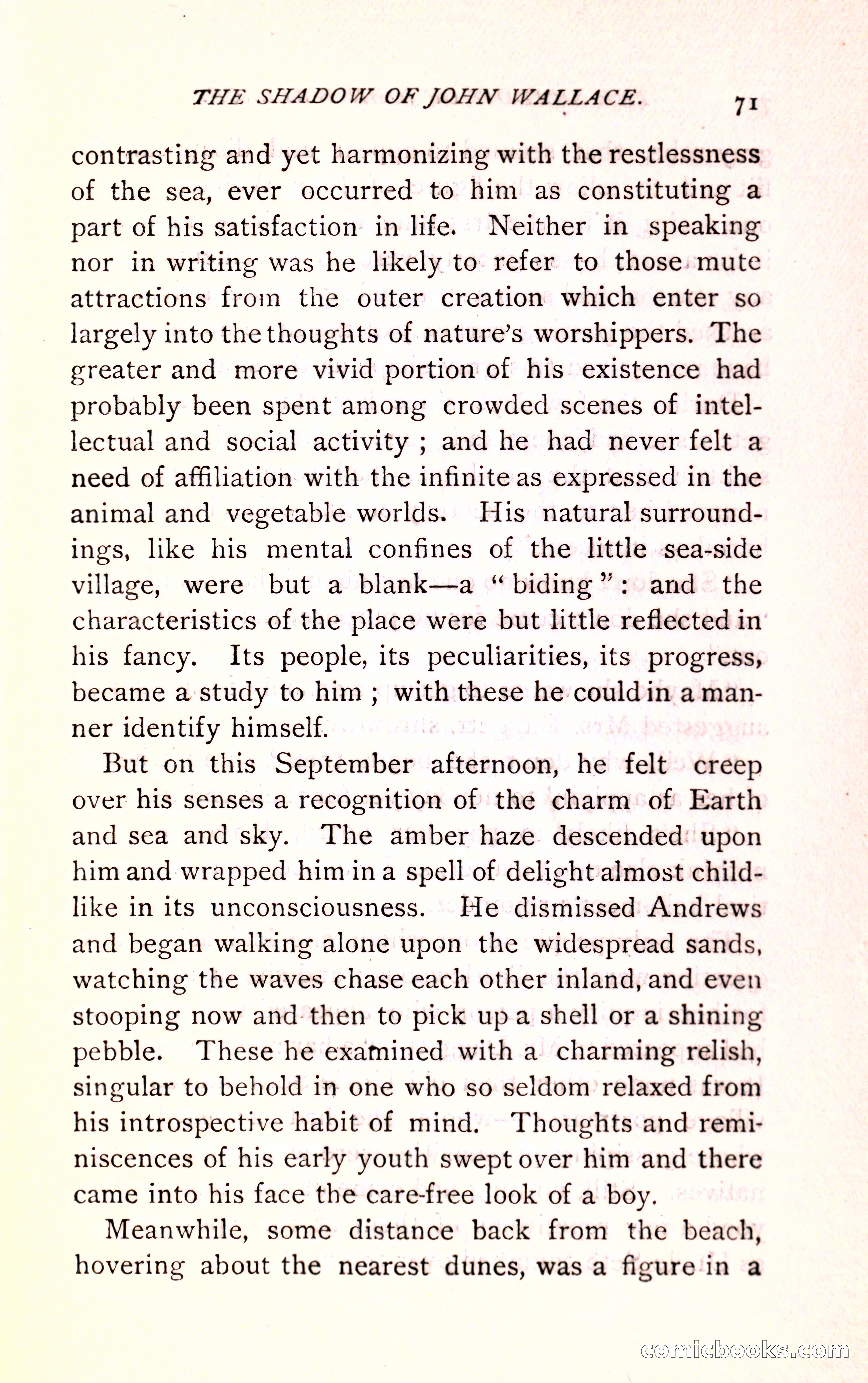The Shadow of John Wallace — page 73 of 400