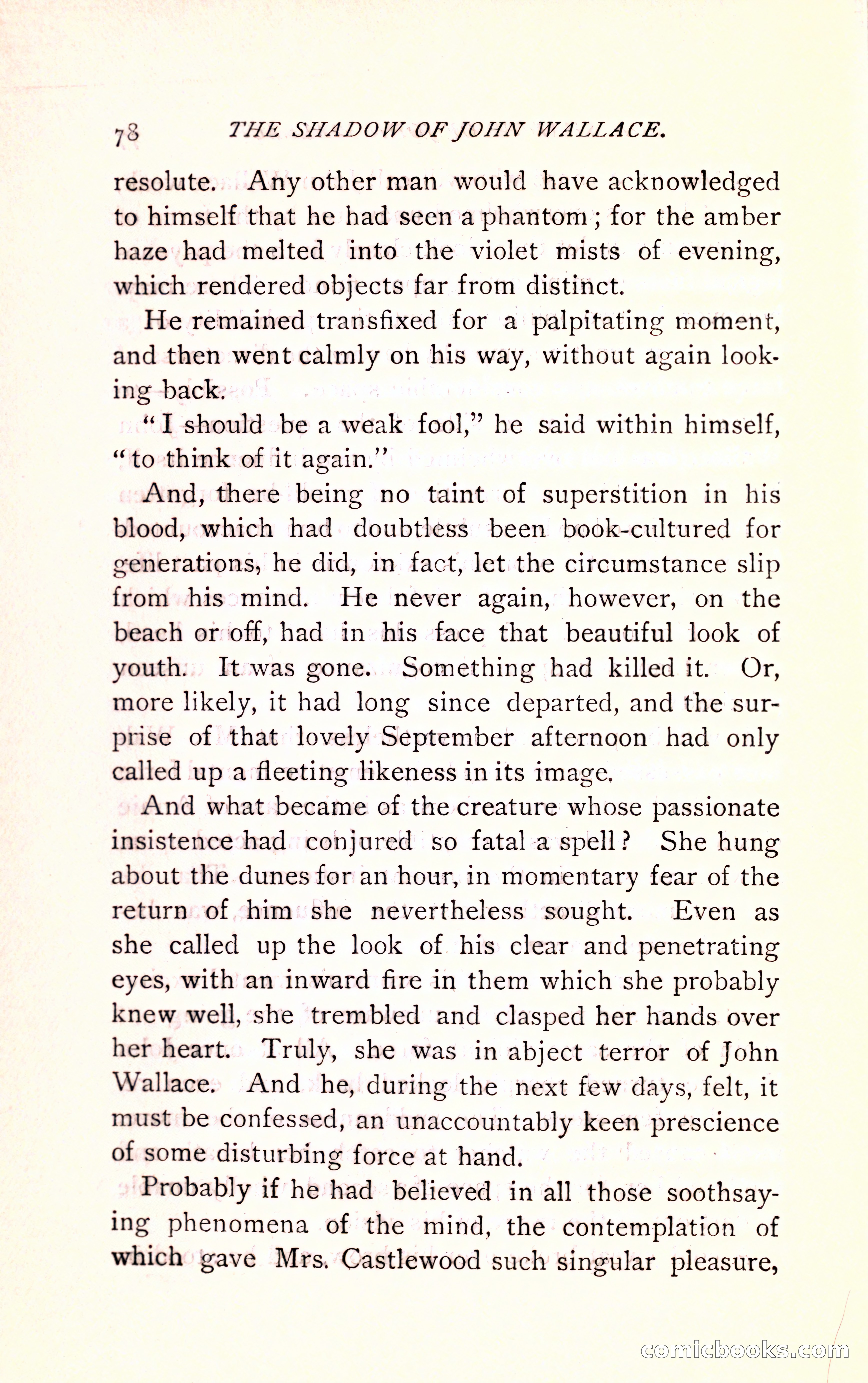 The Shadow of John Wallace — page 80 of 400
