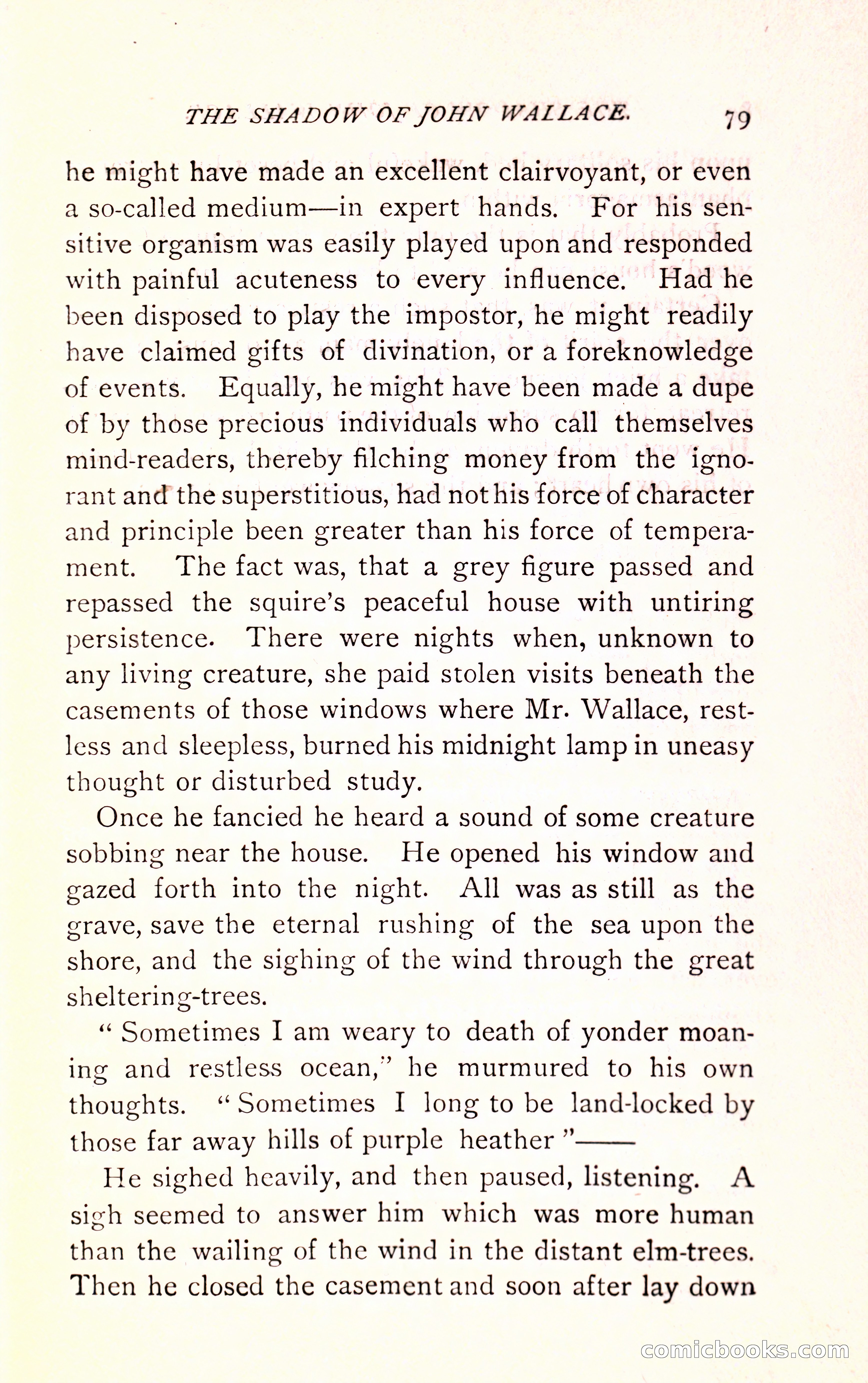 The Shadow of John Wallace — page 81 of 400