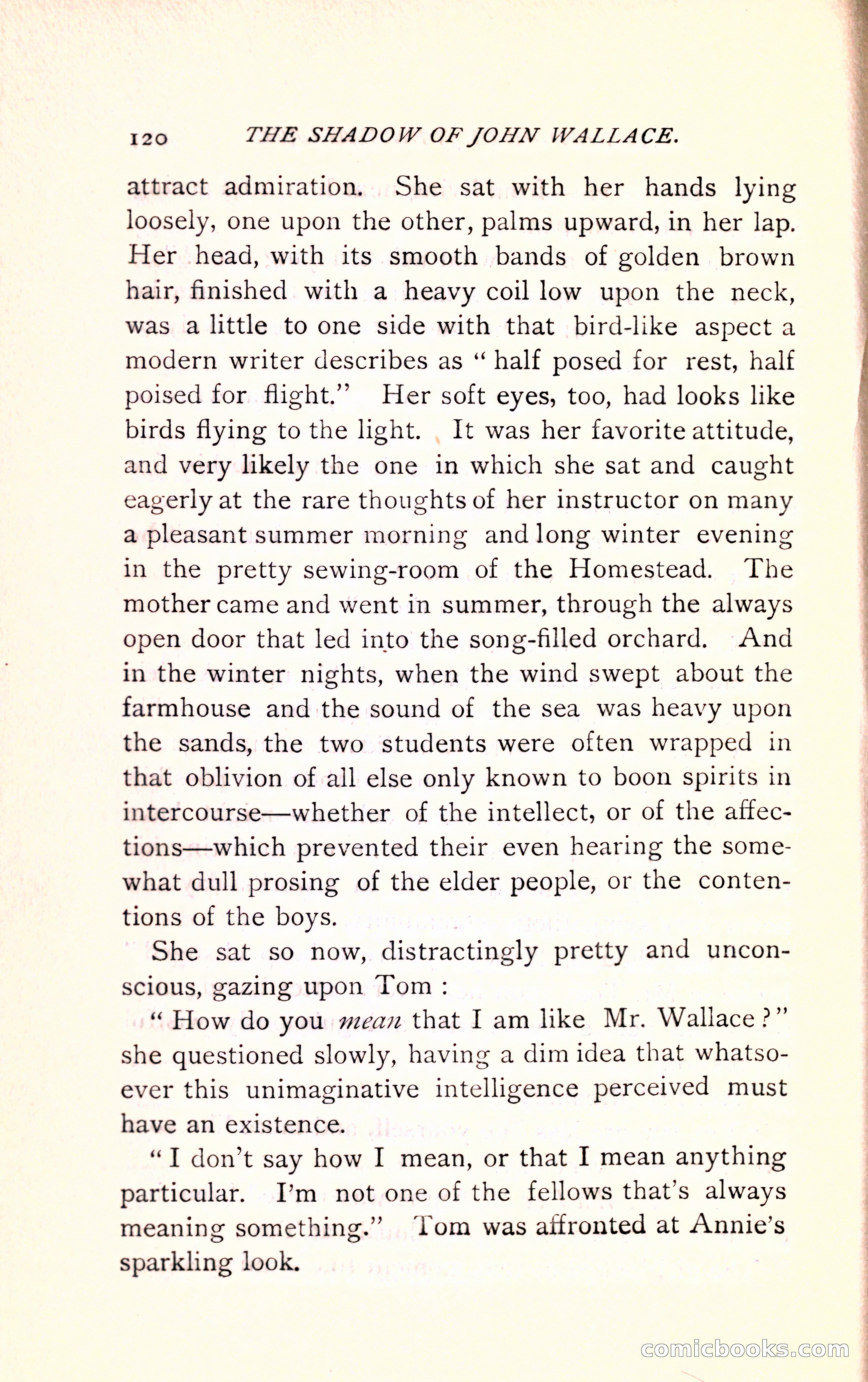 The Shadow of John Wallace — page 122 of 400
