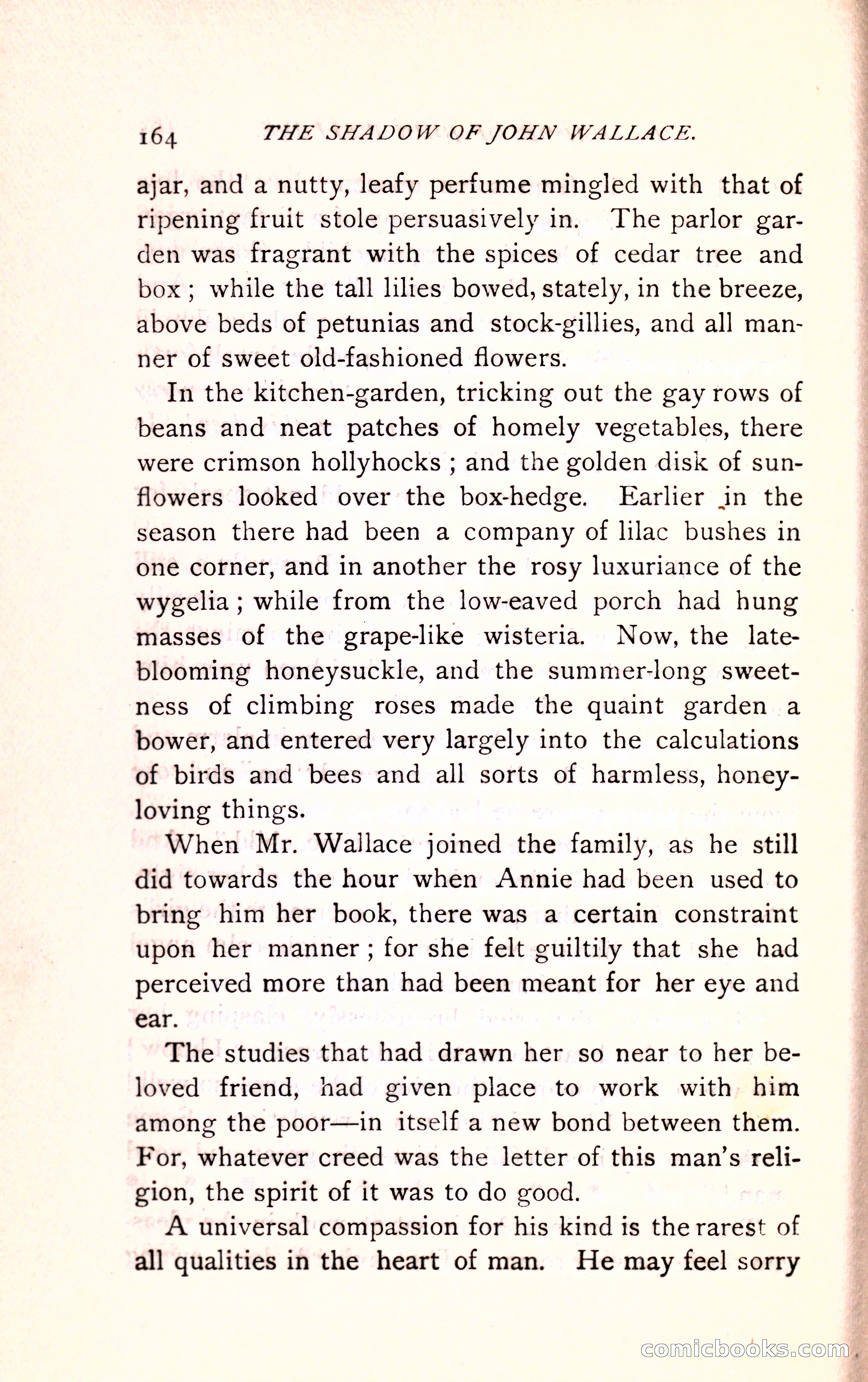 The Shadow of John Wallace — page 166 of 400