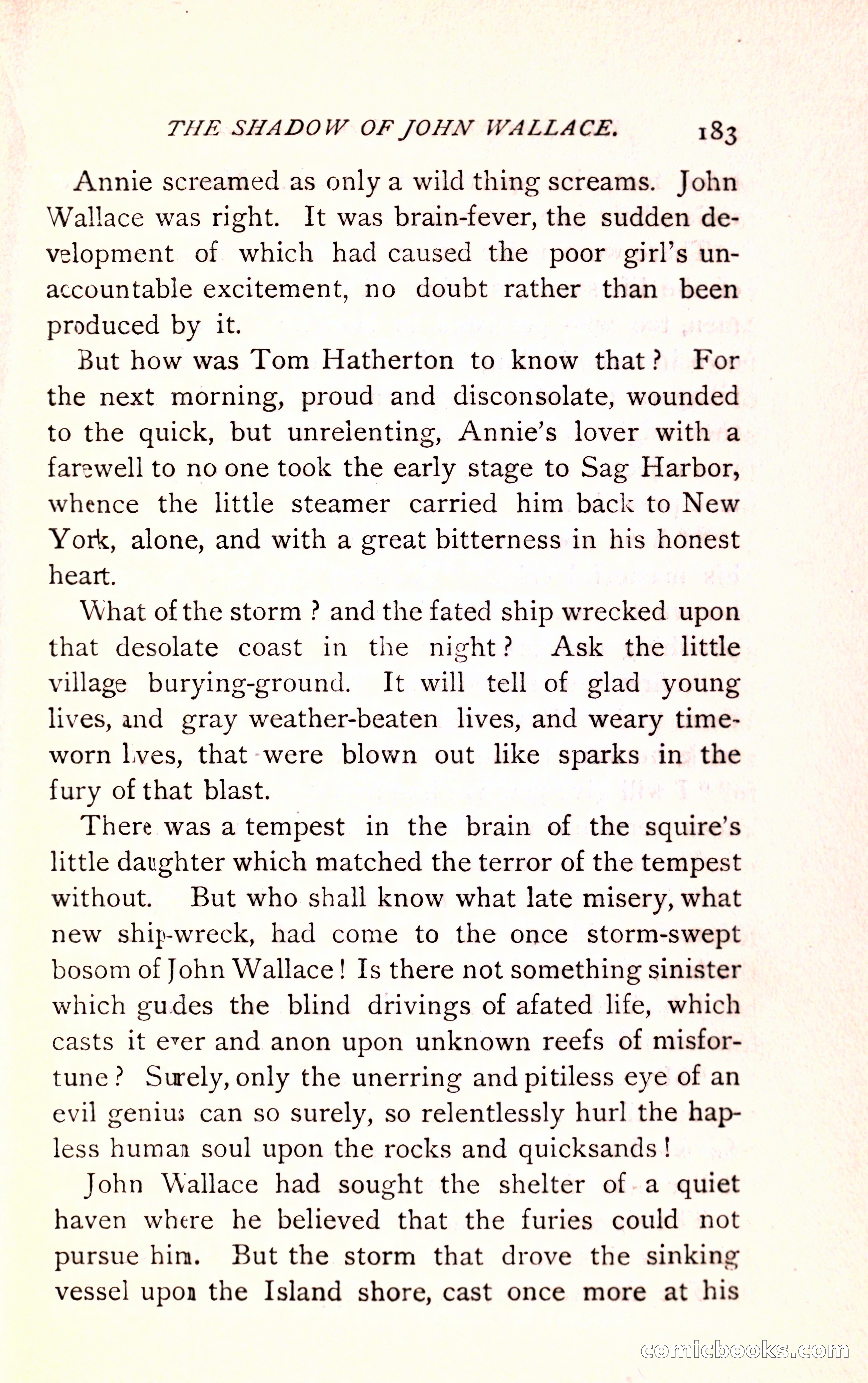The Shadow of John Wallace — page 185 of 400