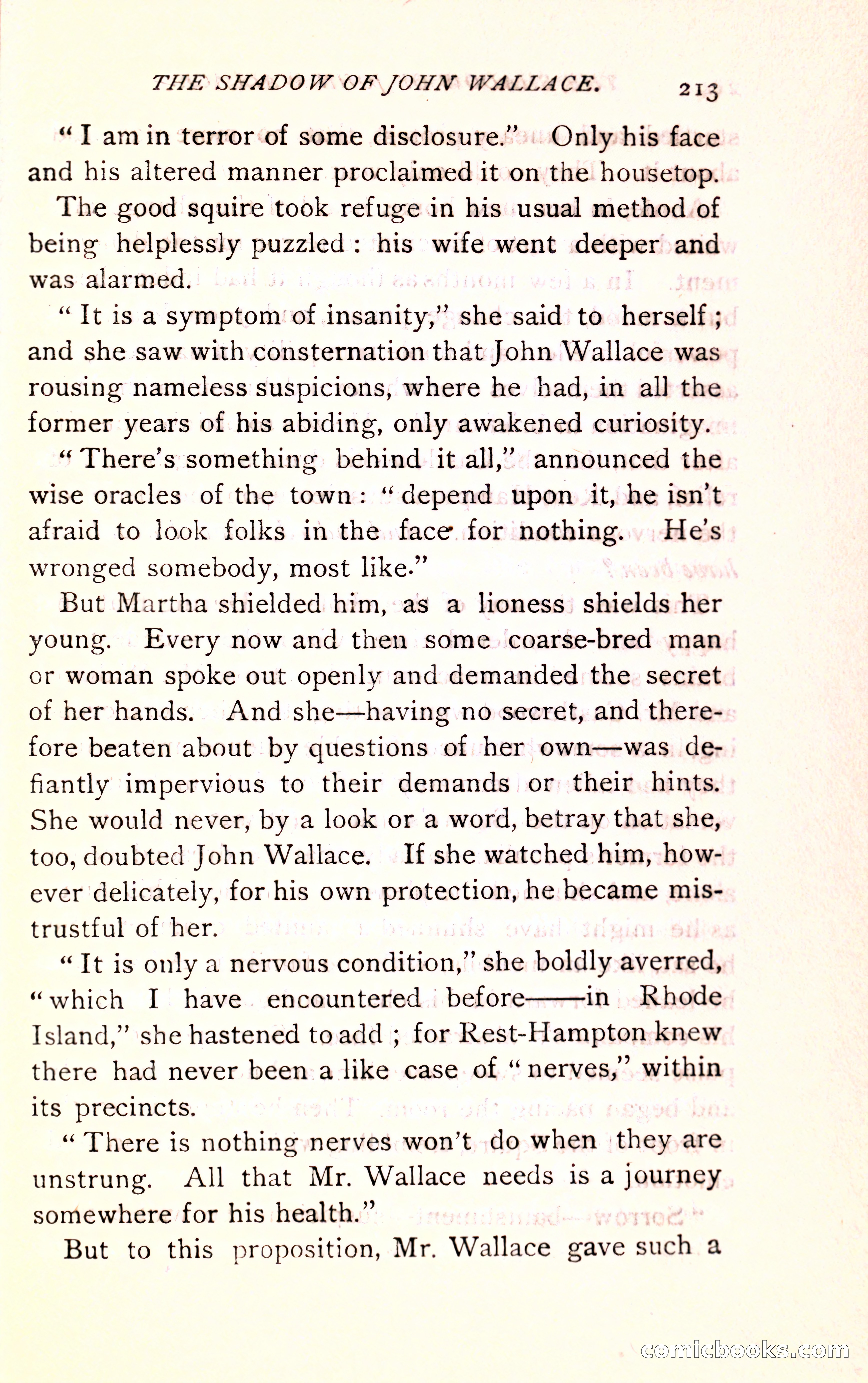 The Shadow of John Wallace — page 215 of 400