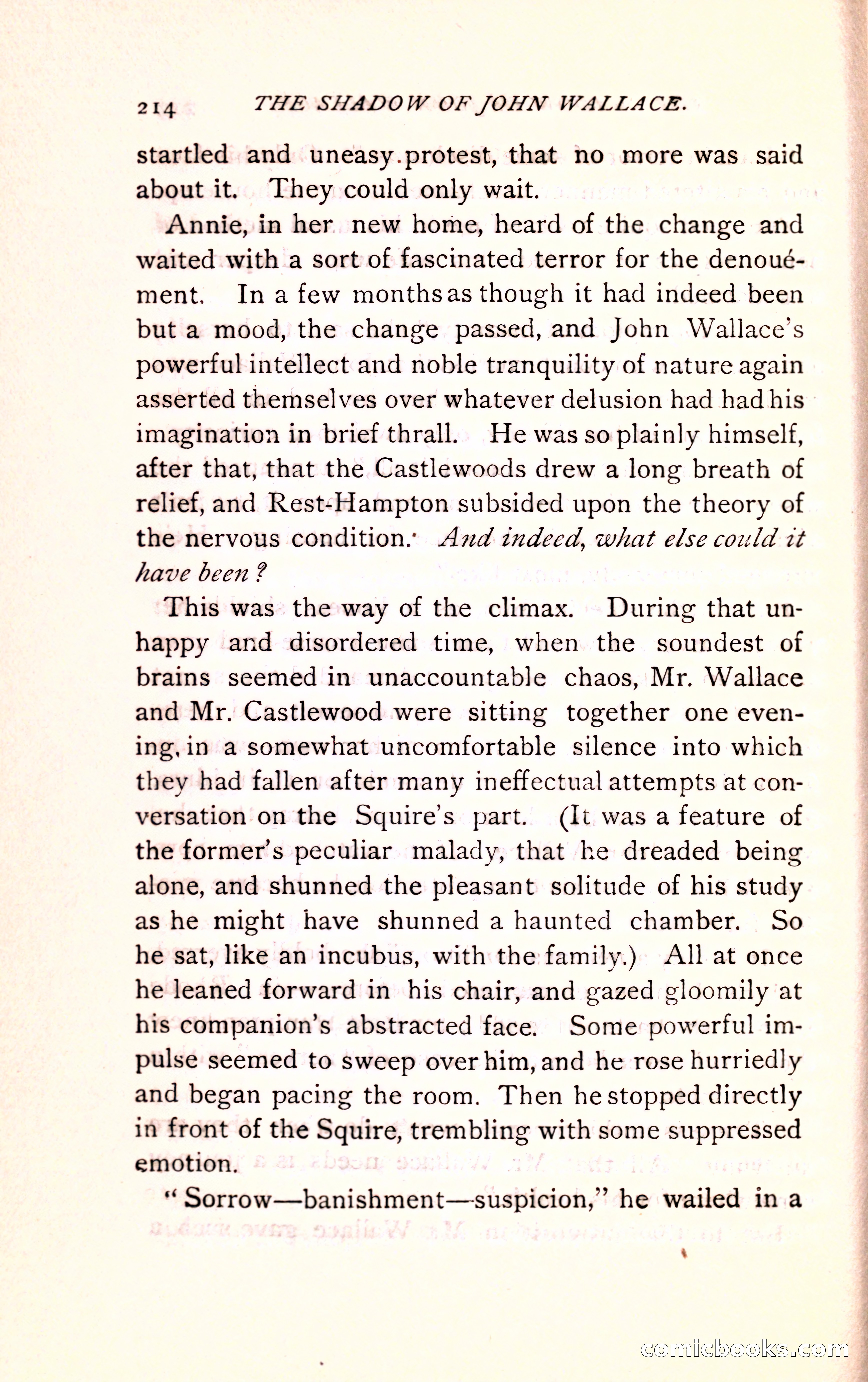 The Shadow of John Wallace — page 216 of 400