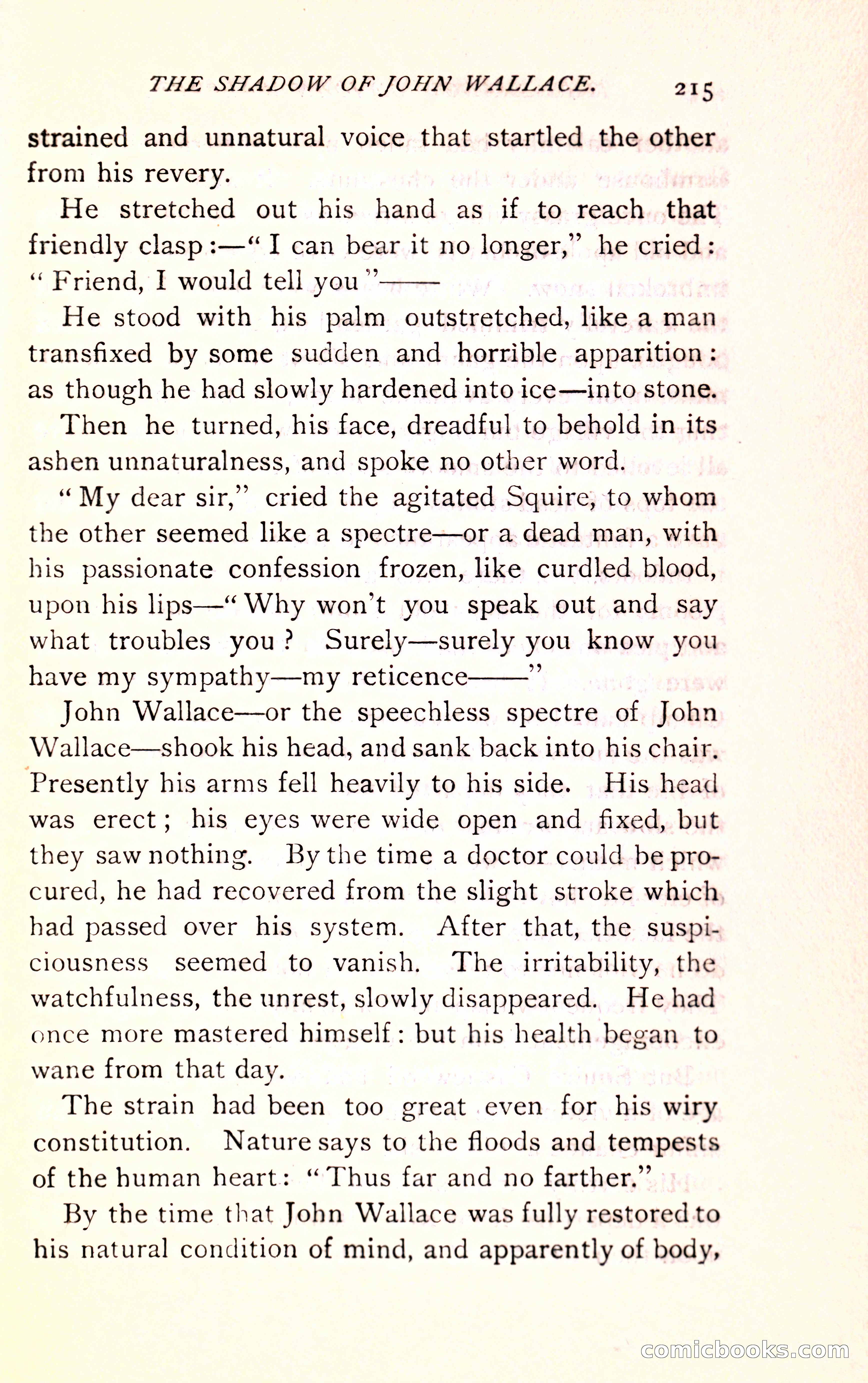The Shadow of John Wallace — page 217 of 400